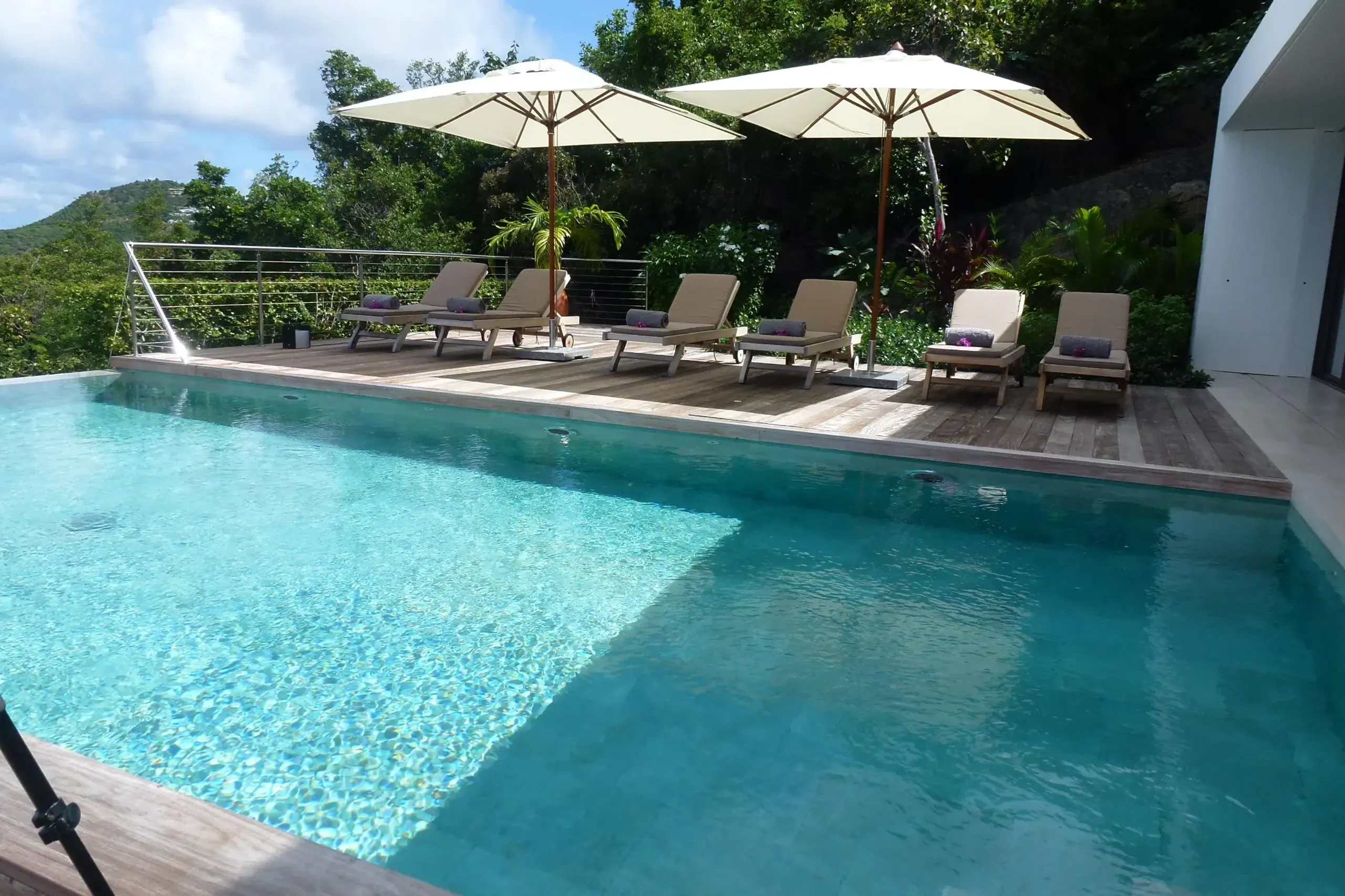 Refreshing Tropical Estate with Infinity Pool and Ocean Views — photograph 2