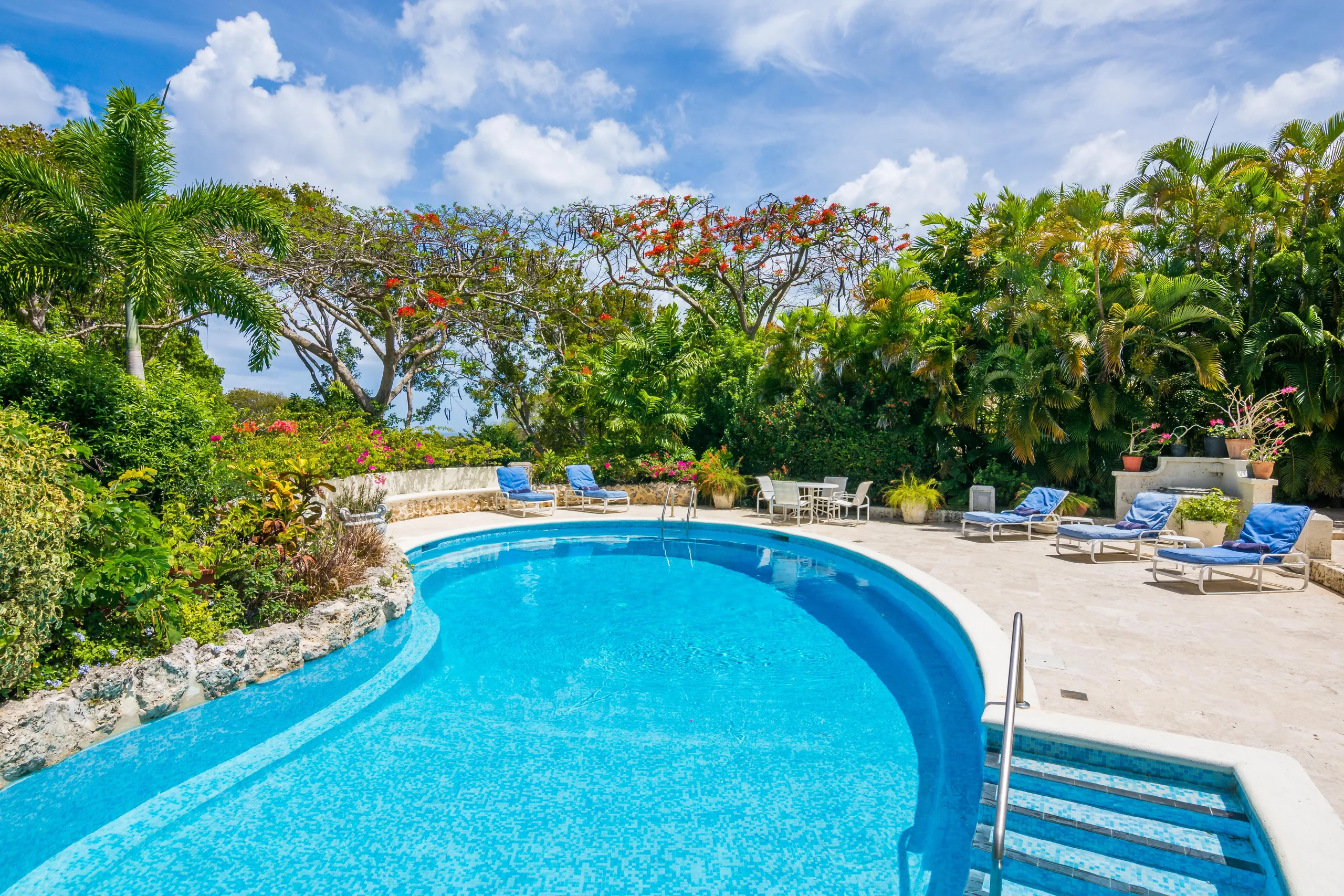 Sandy Lane's Lush and Tropic Villa with Access to a World Class Beach Club and more — photograph 6