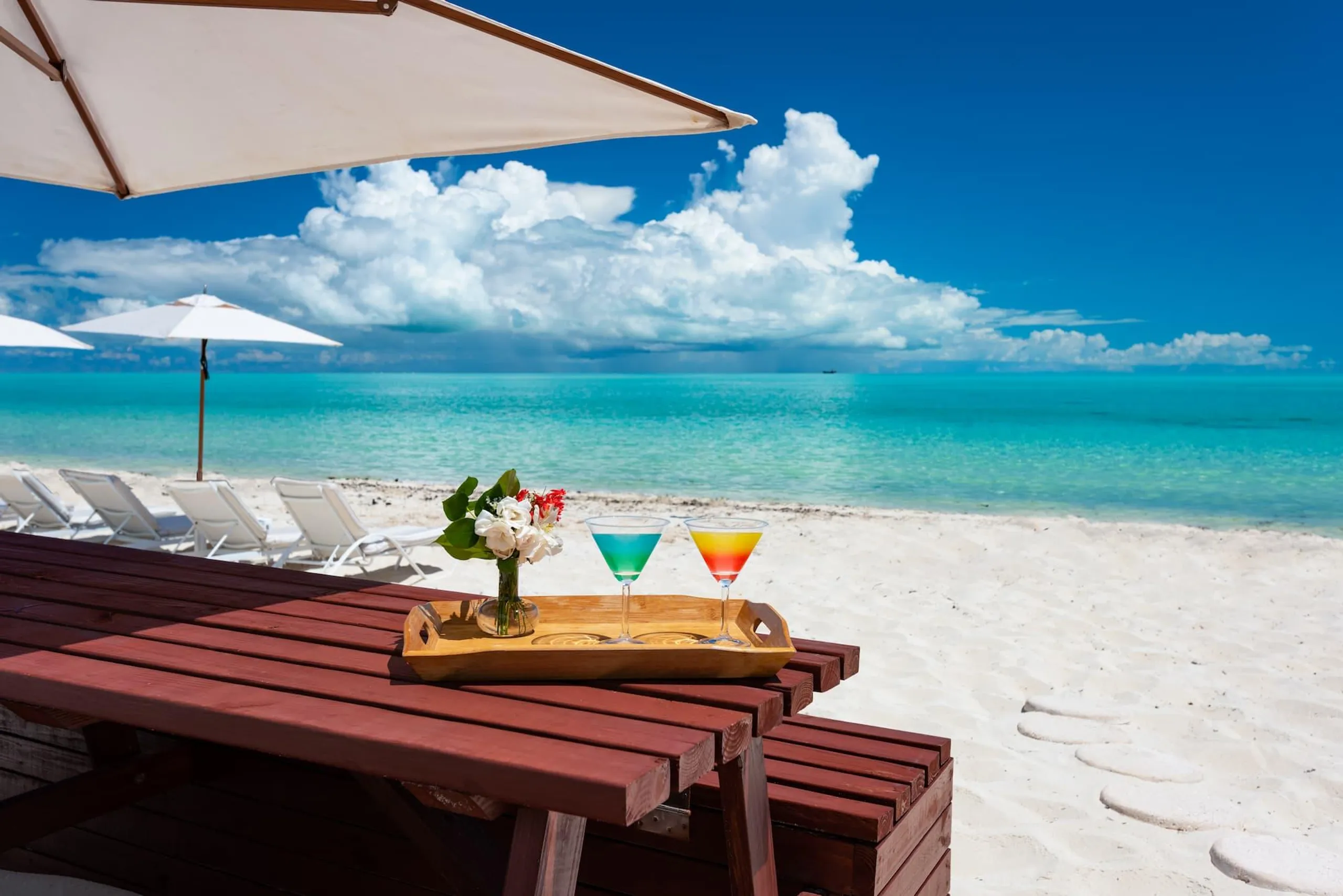 Tranquil Beachfront Bliss Villa with Private Infinity Pool Steps from Ocean — photograph 3