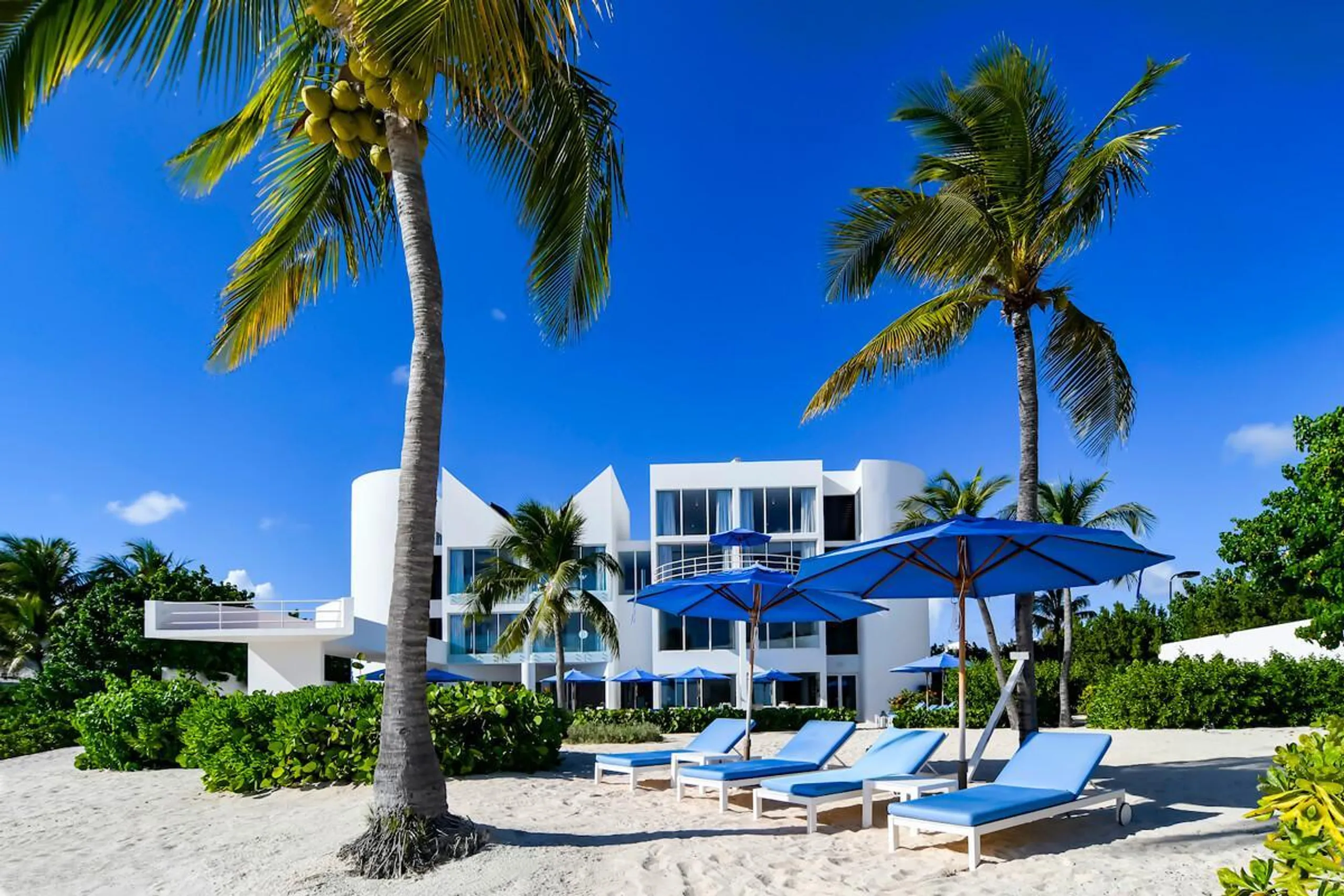 Grand Luxury Beach Front Villa with Private Pool and Skywalk Overlooking Caribbean Sea — photograph 3
