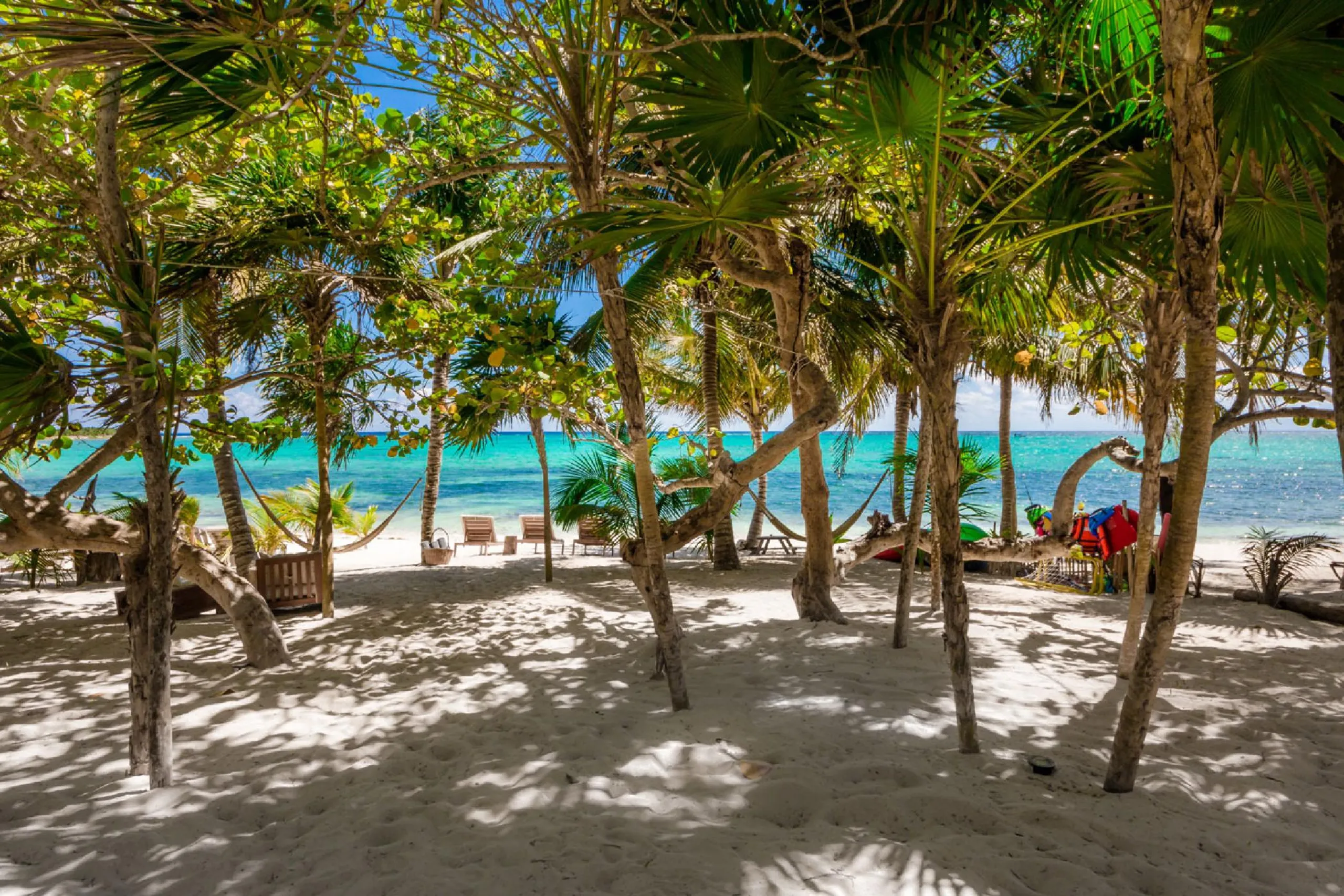 Soliman Bay Private Beach Front Estate with 2 Pool and Amazing Lush Grounds — photograph 3