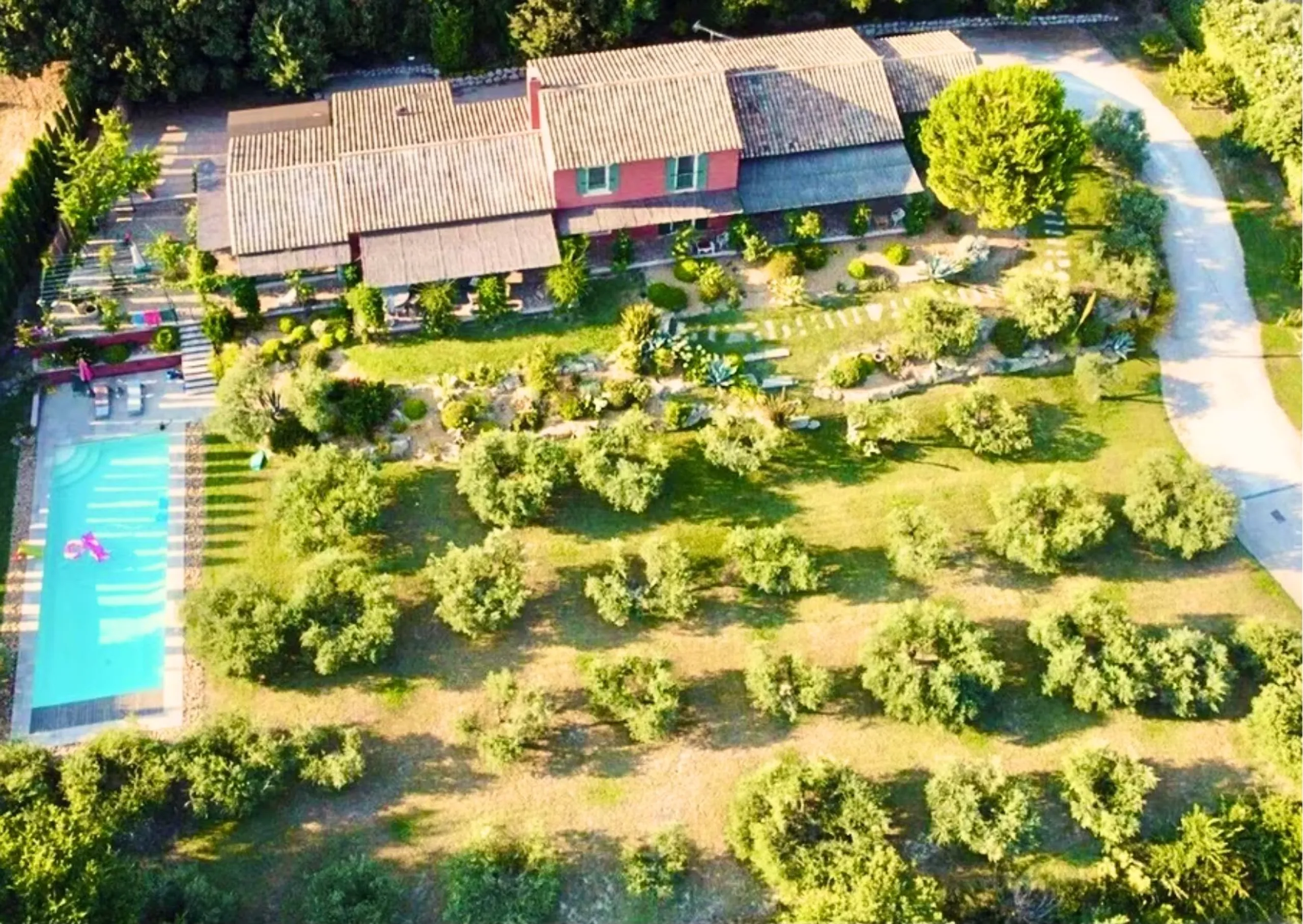 Refined Estate with Heated Pool, Fitness Room, and Olive Grove Views — photograph 3