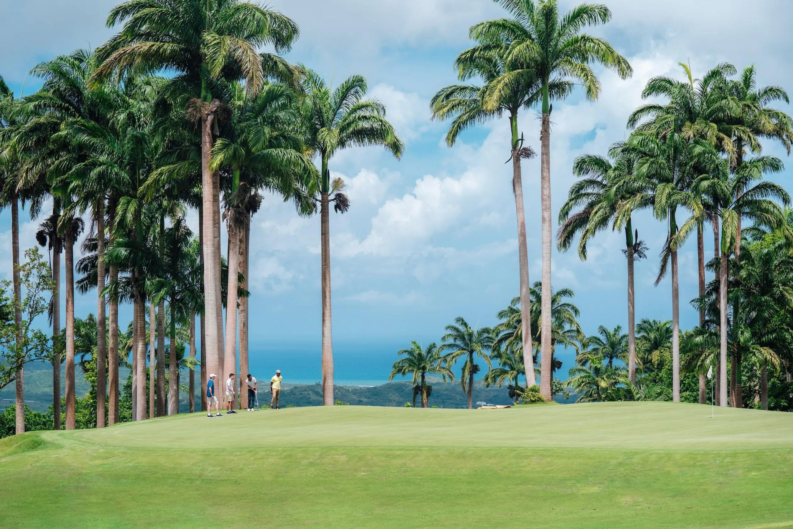Apes Hill Club's Luxe Haven Villa with Golf Course Access — photograph 2