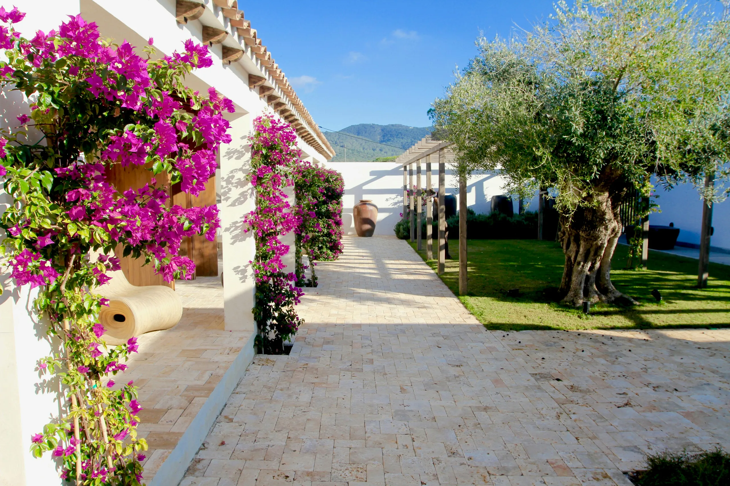 Magnificent Oceanview Villa with Private Pool and Cinema Room — photograph 5
