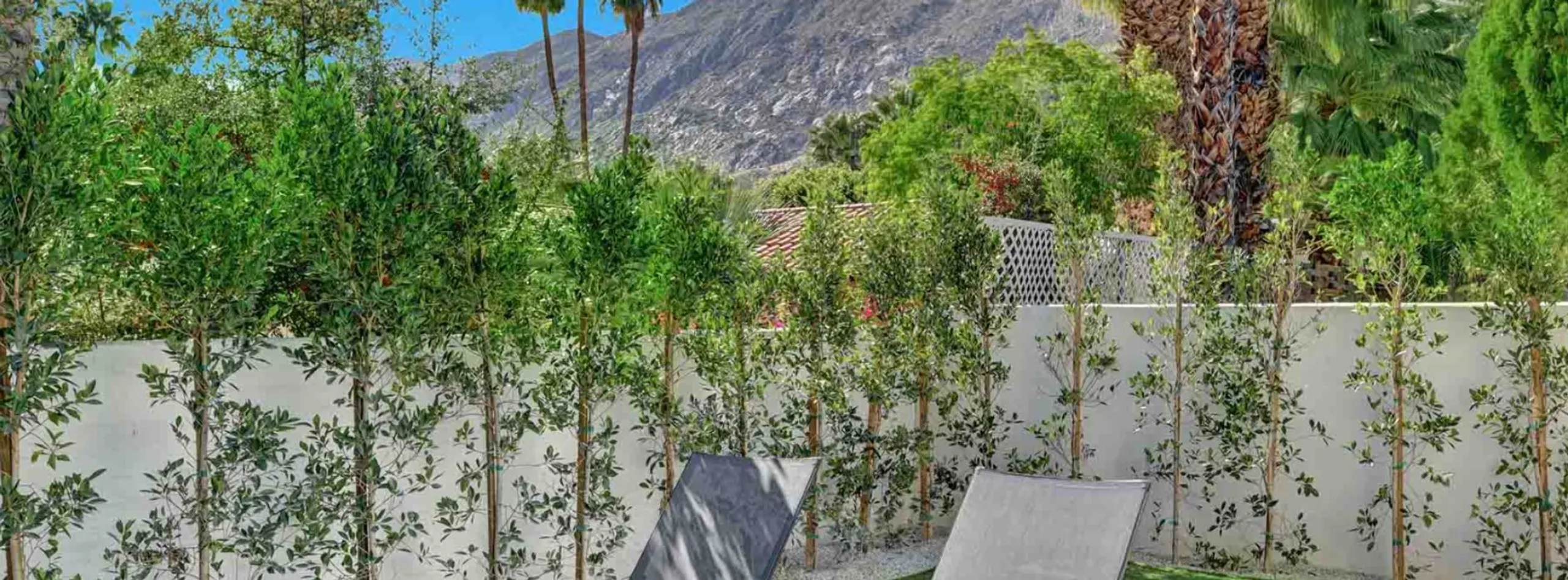 Brand-New Palm Springs Movie Colony Estate  with Resort-Style Pool and Mountain Views — photograph 10