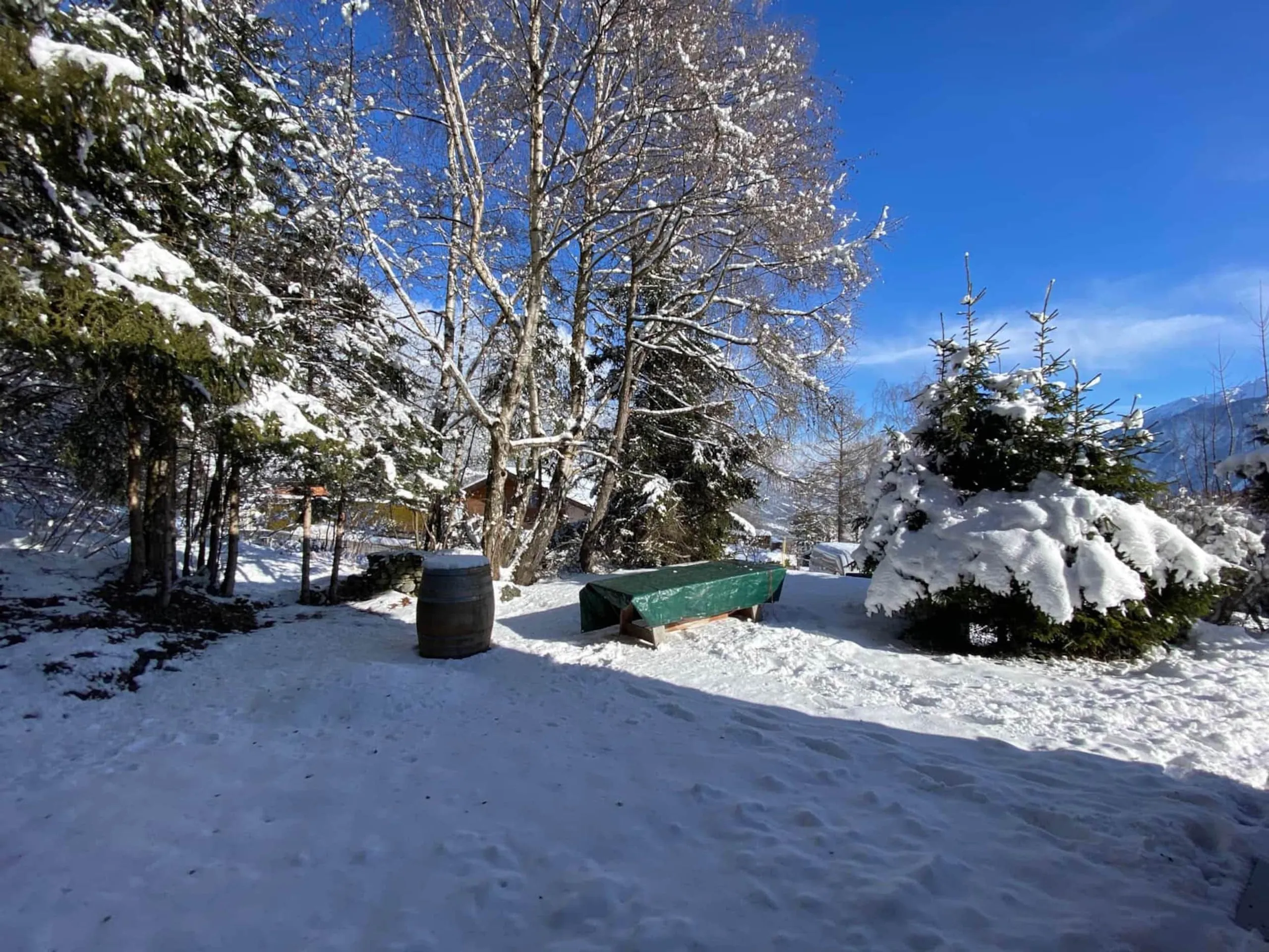 Crans Montana Luxury Chalet with Spa and Sauna — photograph 4