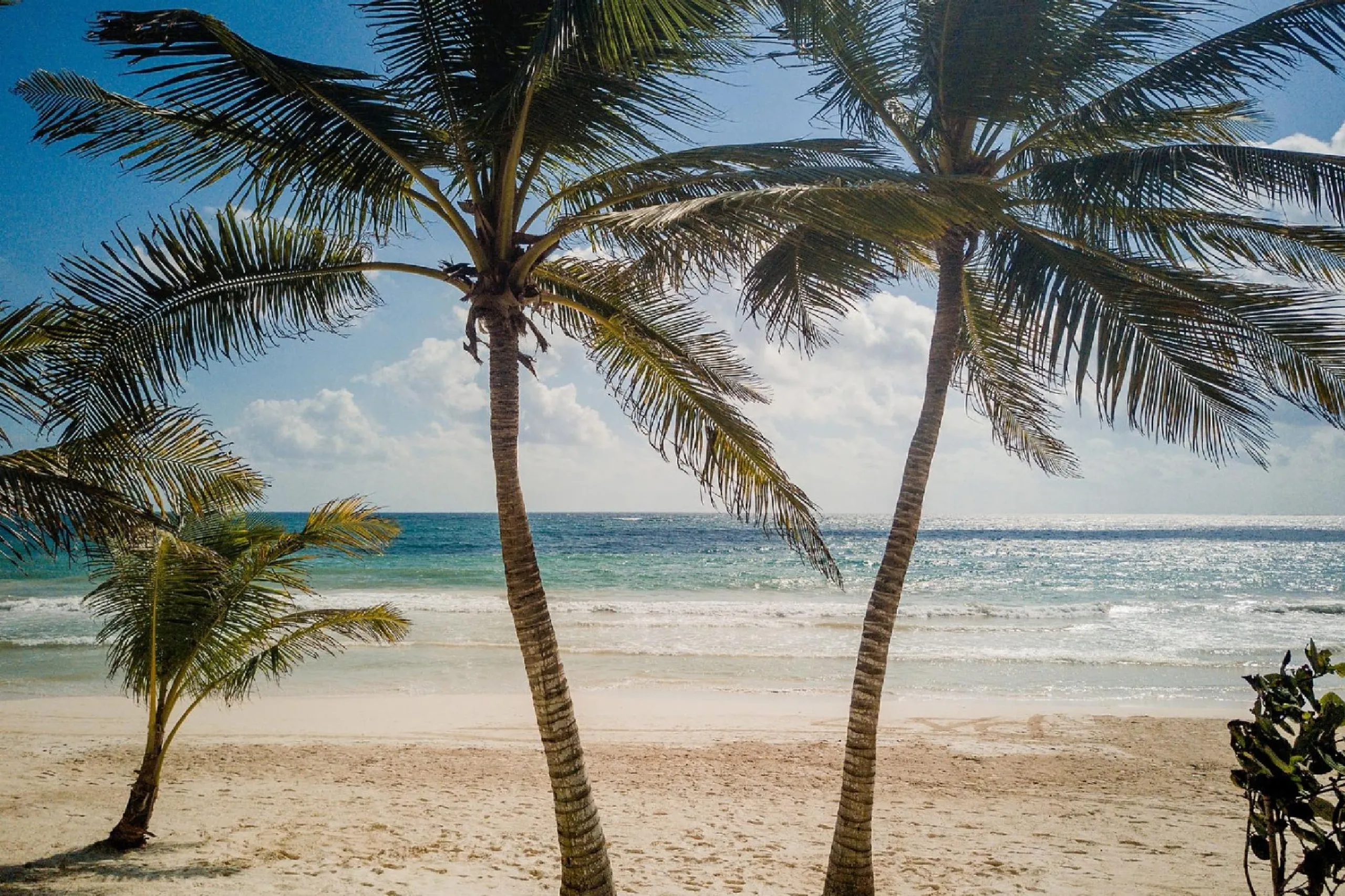 Eco-Friendly Expansive Beachfront Tulum Villa with Private Pool — photograph 8