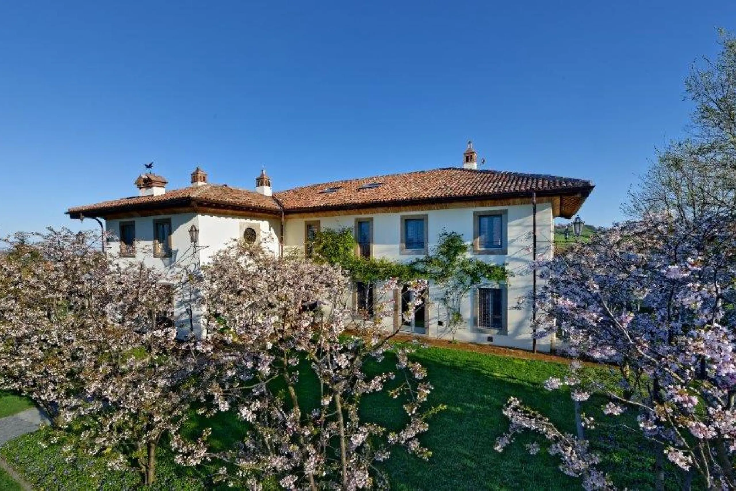 Paradise Estate with Infinity Pool and Lush Garden Grounds — photograph 2