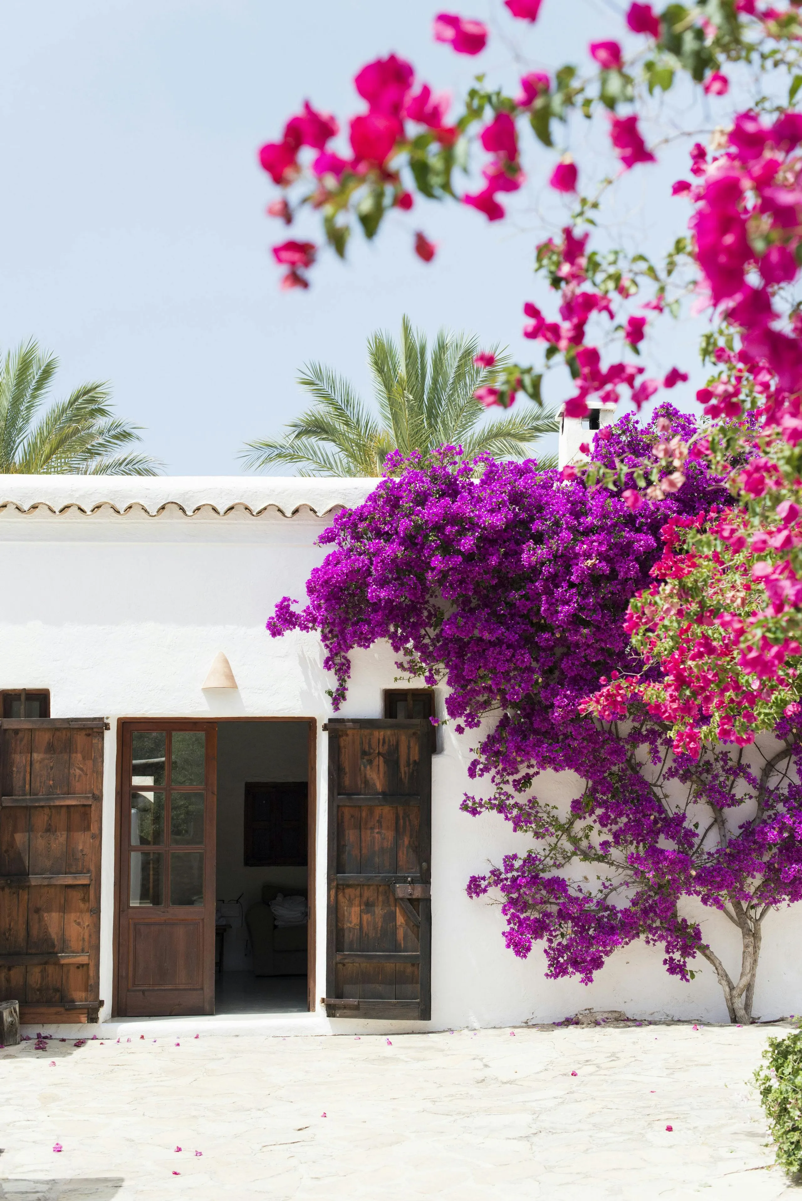 Graceful Spanish Seaview Villa with Private Pool and Glorious Gardens — photograph 7