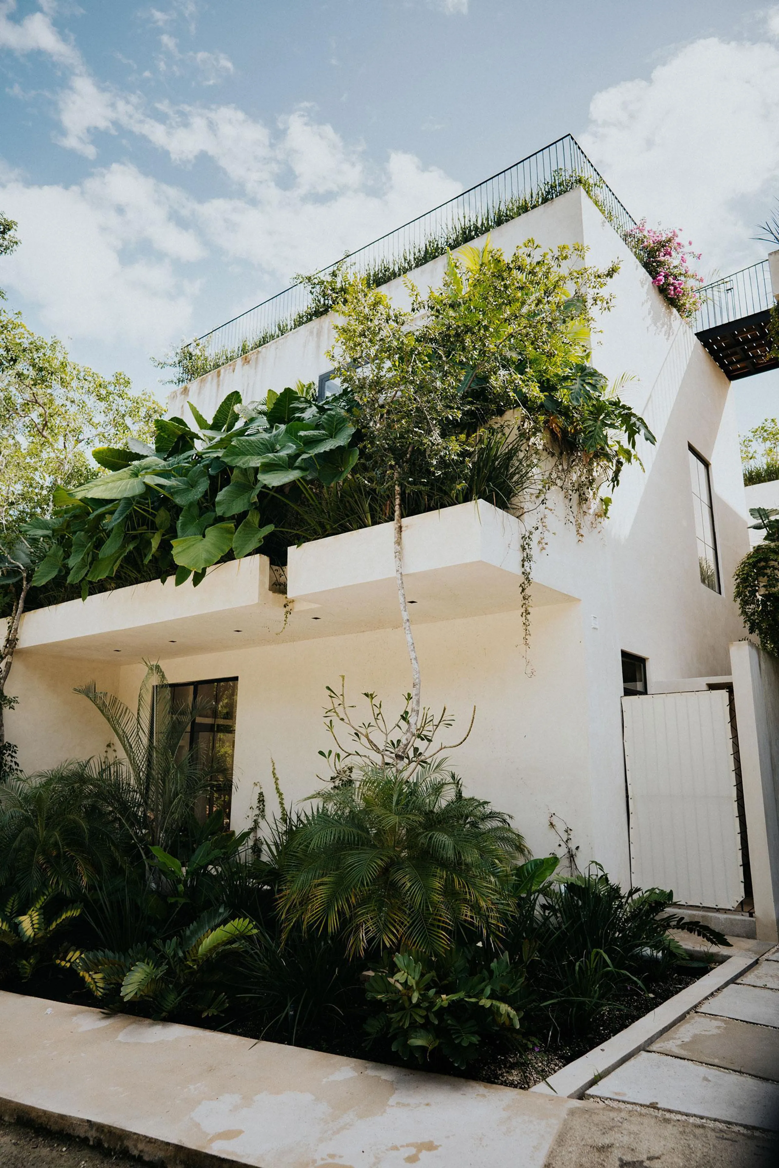 Combined Tulum Luxury Villa Compound with Private Pools and Views — photograph 12