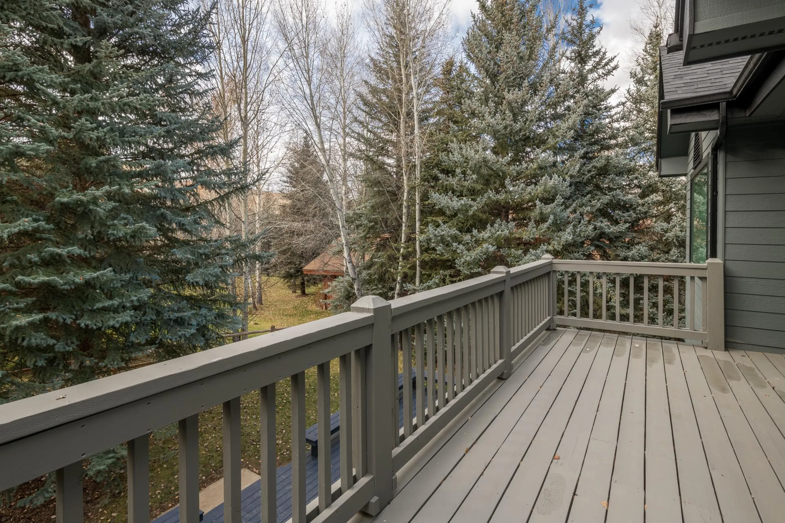 Deluxe Mountain Retreat with Jacuzzi — photograph 4