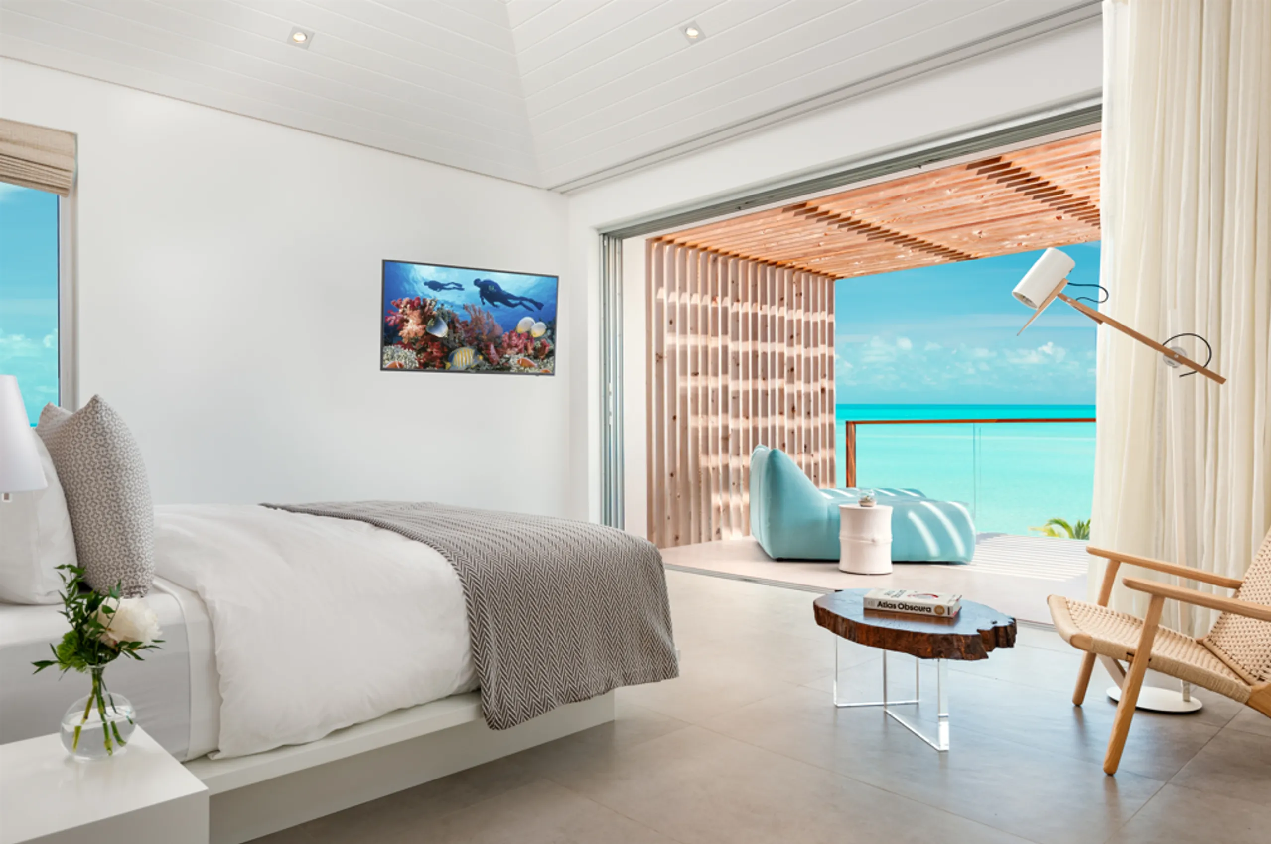 Stunning Contemporary Design Long Bay Villa with Infinity Pool and Views — photograph 6