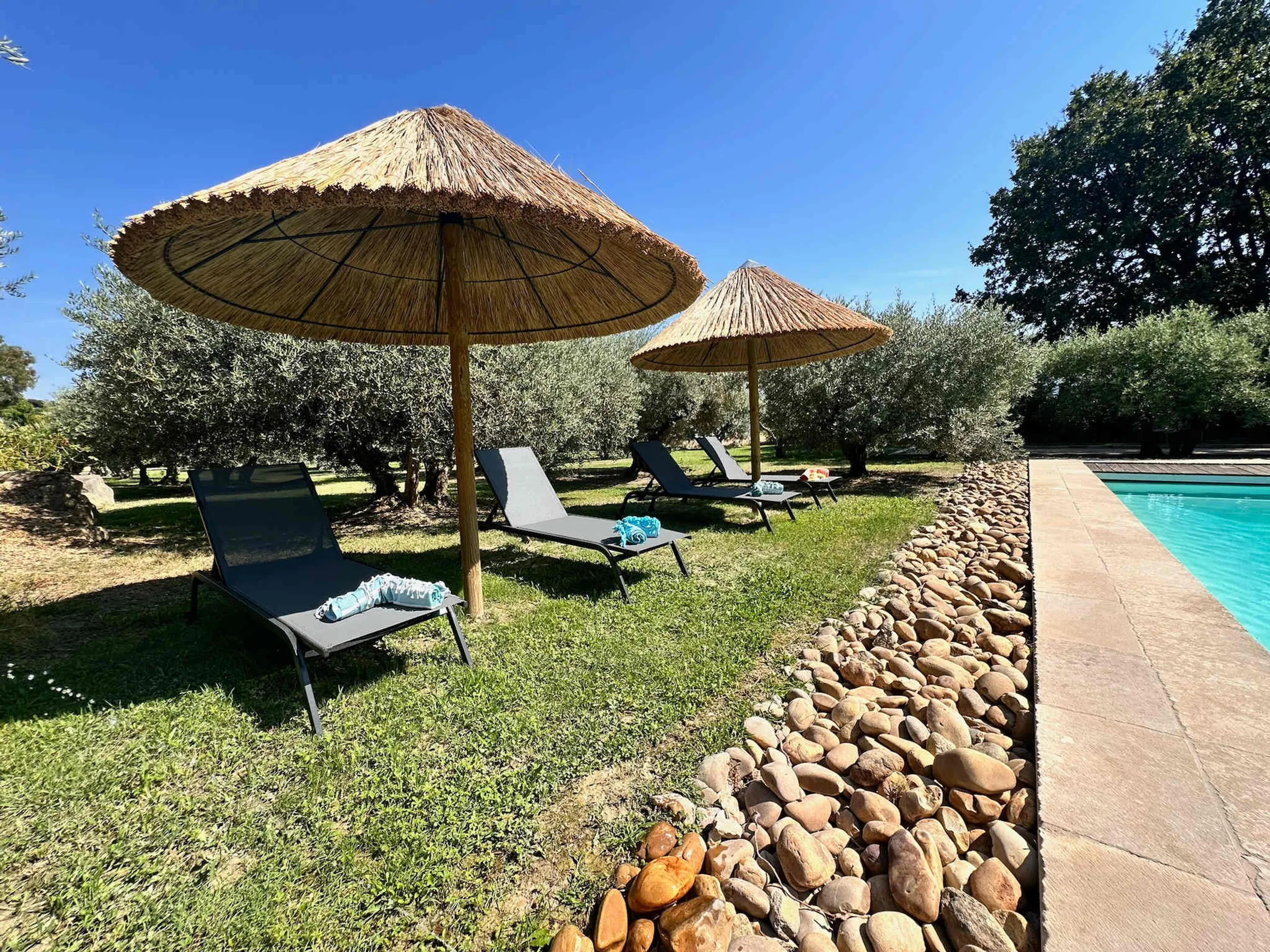 Refined Estate with Heated Pool, Fitness Room, and Olive Grove Views — photograph 4