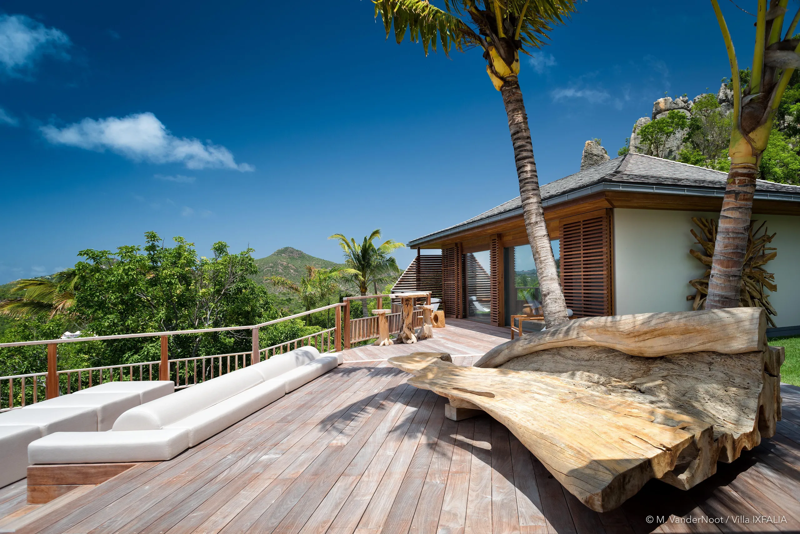 Gleaming Tropical Paradise Villa with Private Pool and Fitness Center — photograph 5