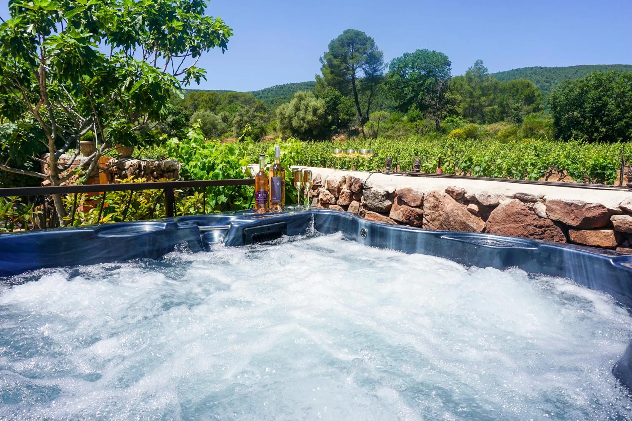 Captivating 4BR Villa with Private Pool and Vineyards — photograph 10