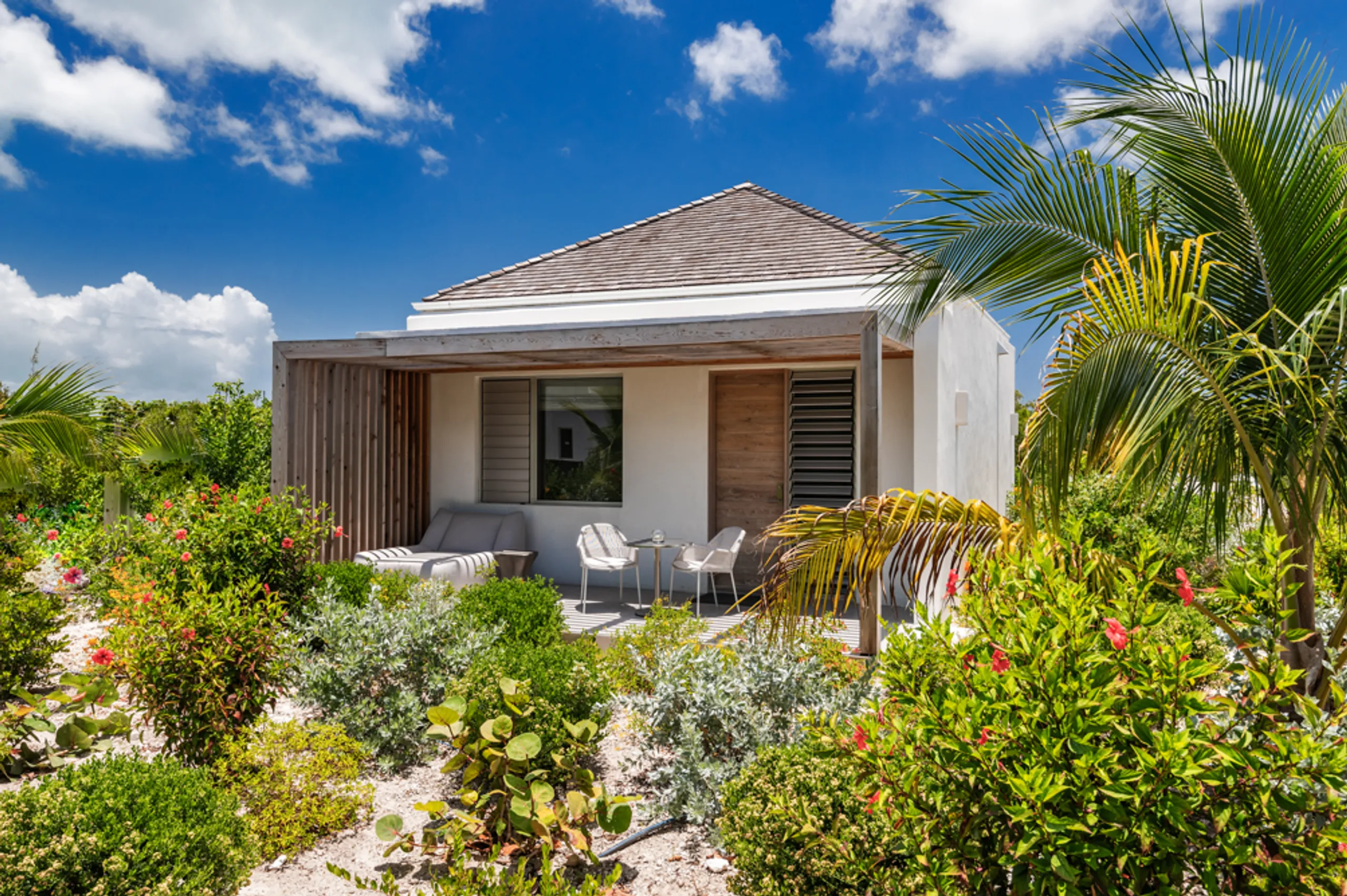 Stunning Contemporary Design Long Bay Villa with Infinity Pool and Views — photograph 7