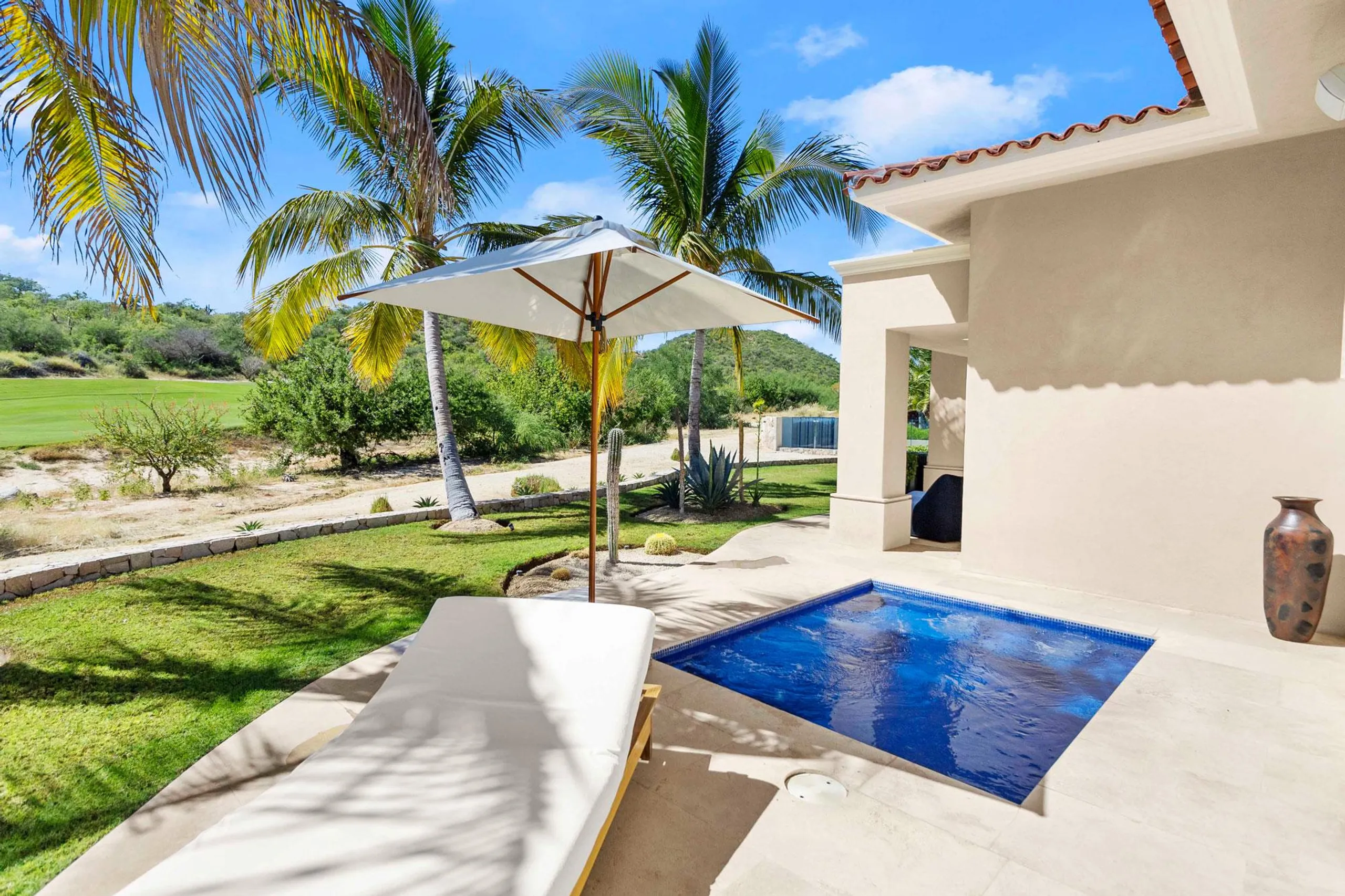 Sensational Palmilla Palace with Infinity Pool Overlooking the Sea of Cortez — photograph 7