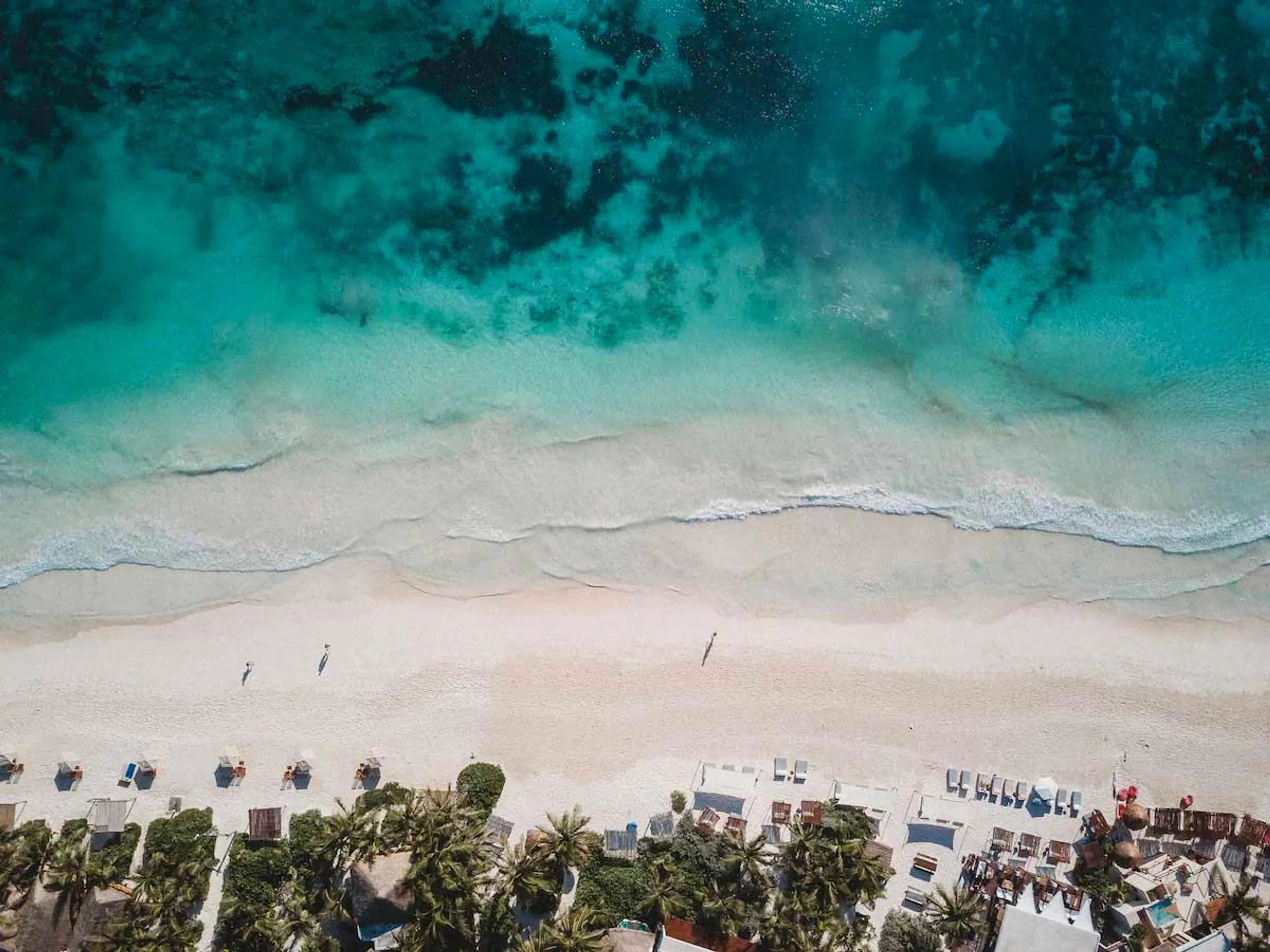 Quatros Casas Tulum Compound with Private Pools and Beach Front Access — photograph 3