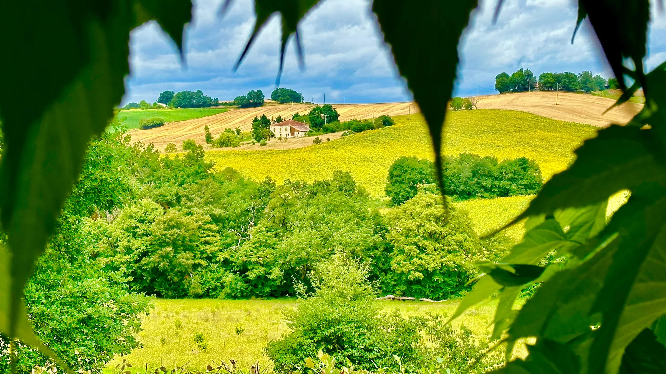 Gascony Hidden Luxury Retreat with 8-BR and Outdoor Pool — photograph 12