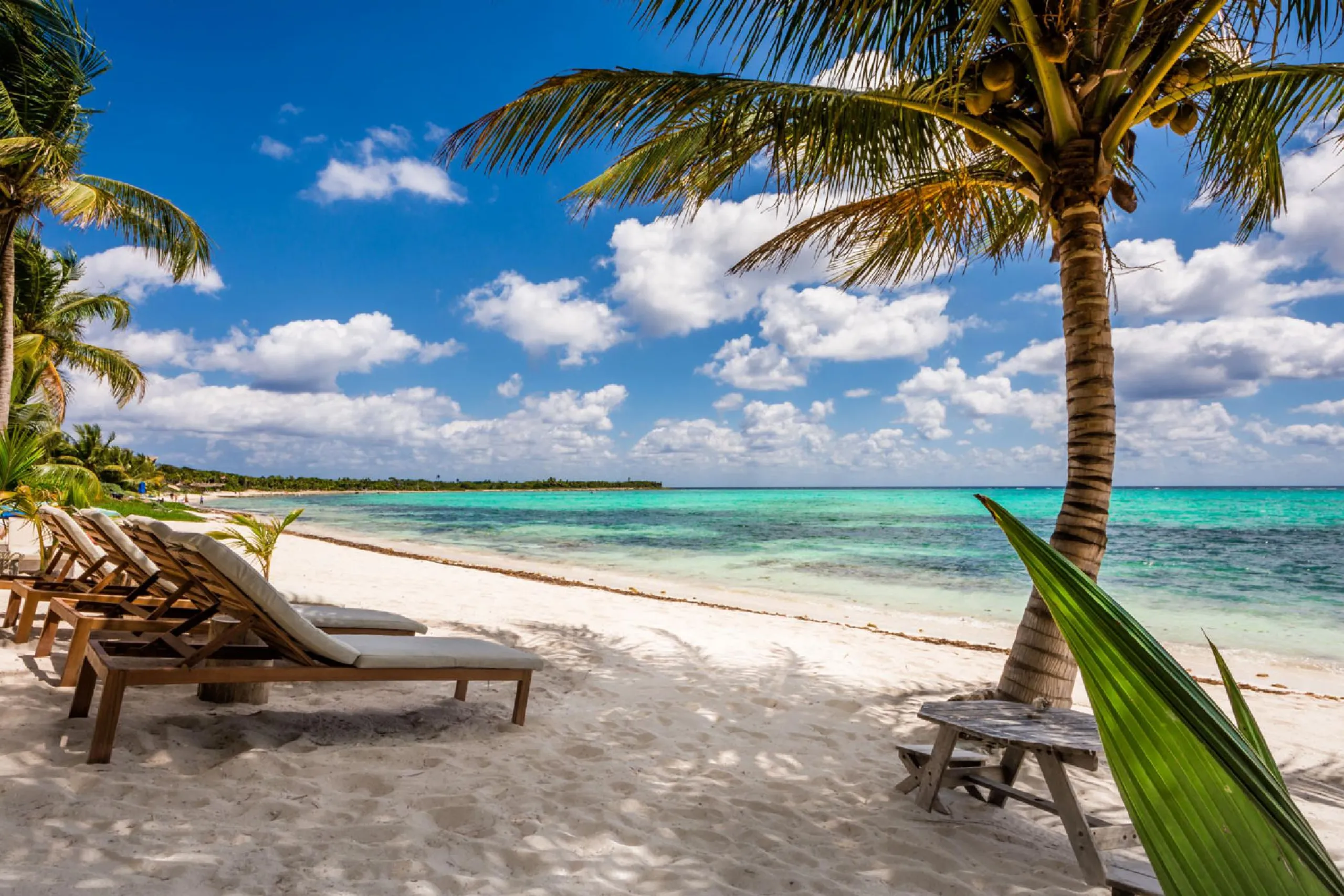 Soliman Bay Private Beach Front Estate with 2 Pool and Amazing Lush Grounds, Soliman Bay