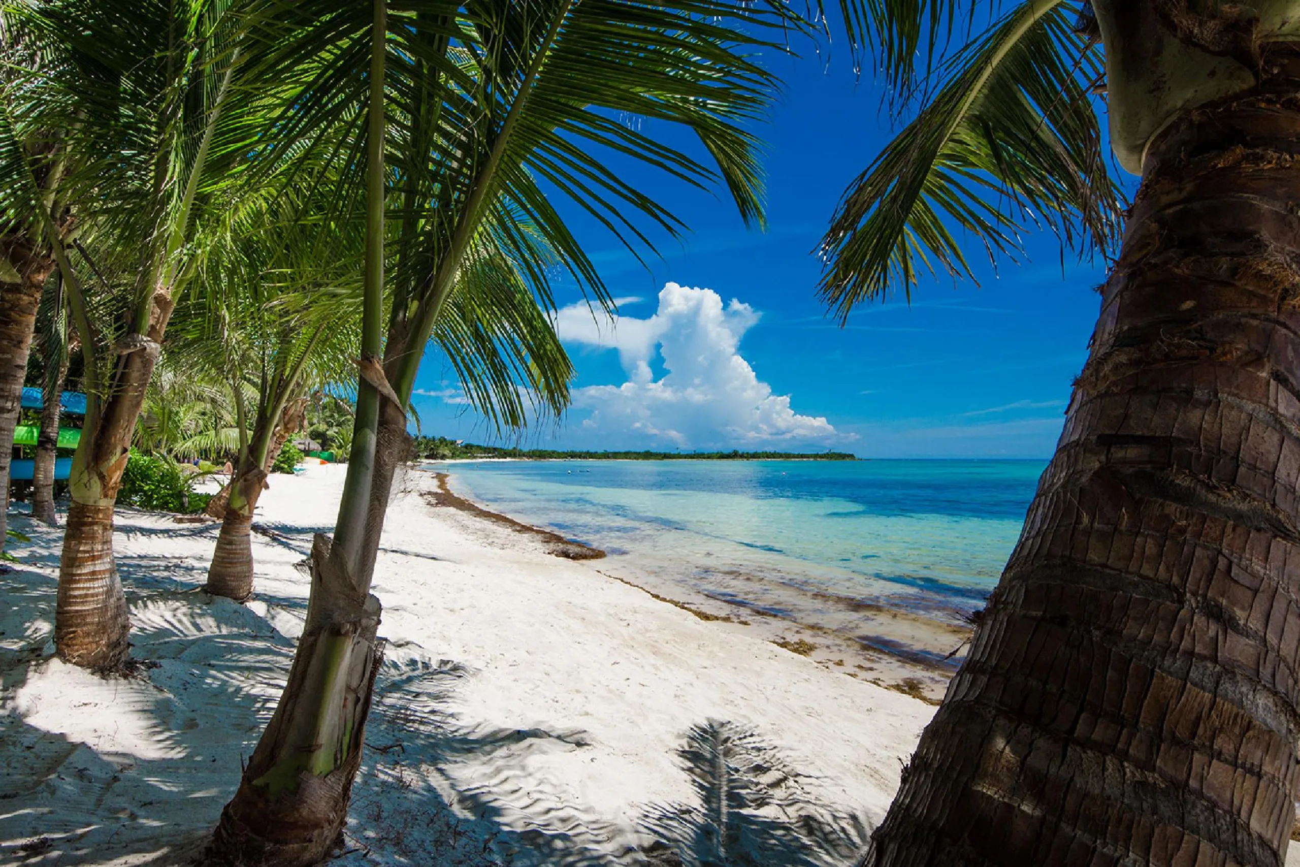 Private and Secluded Beachfront Soliman Bay Estate with 2 Private Pools and Ocean Views — photograph 8