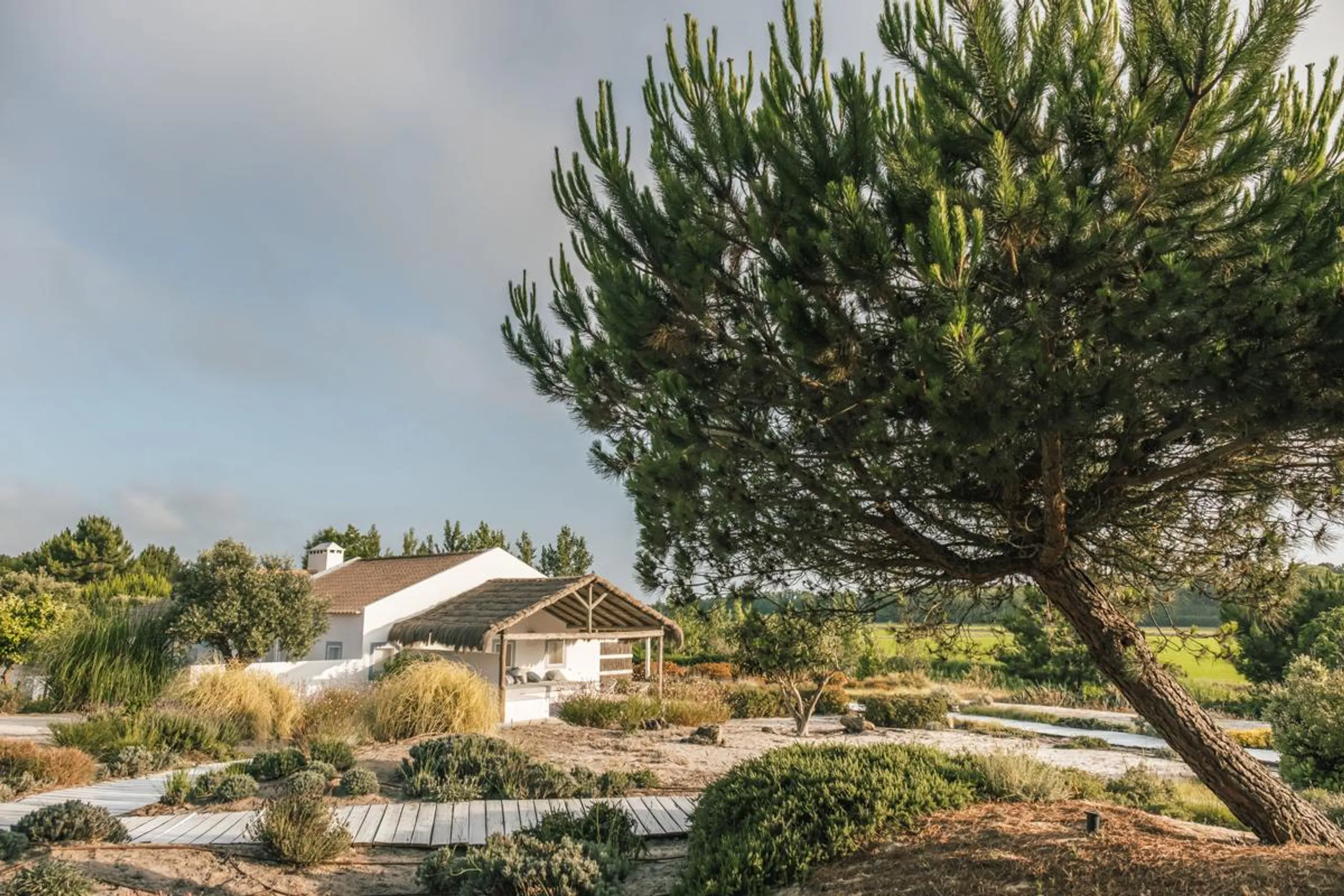 Gorgeous Comporta Beachfront Villa: Private Pool, Direct Beach Access, and Enchanting Natural Surroundings in Carvalhal