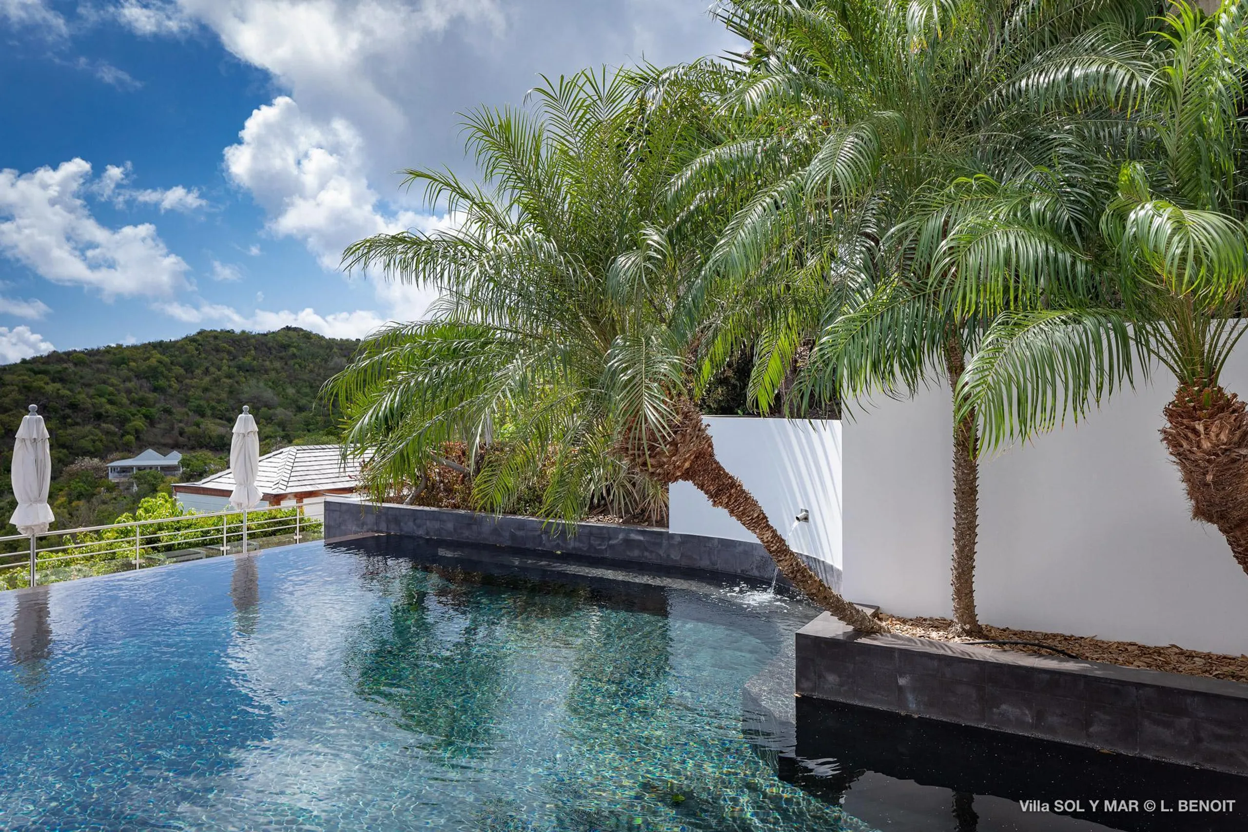Luxury Oceanview Estate with Infinity Pool and Fitness Room — photograph 3