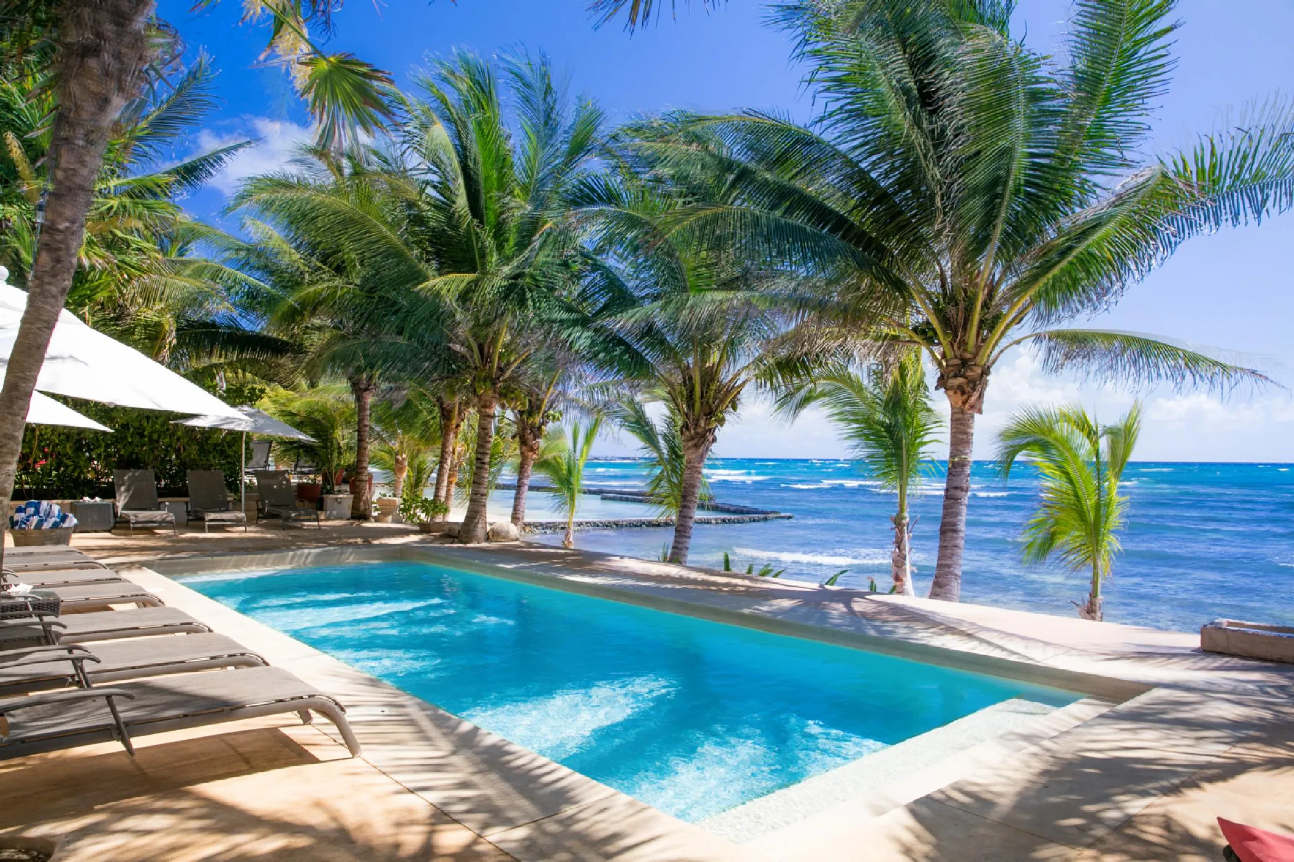 Beach Front Luxury Hacienda with Private Pool and Ocean Views — photograph 5