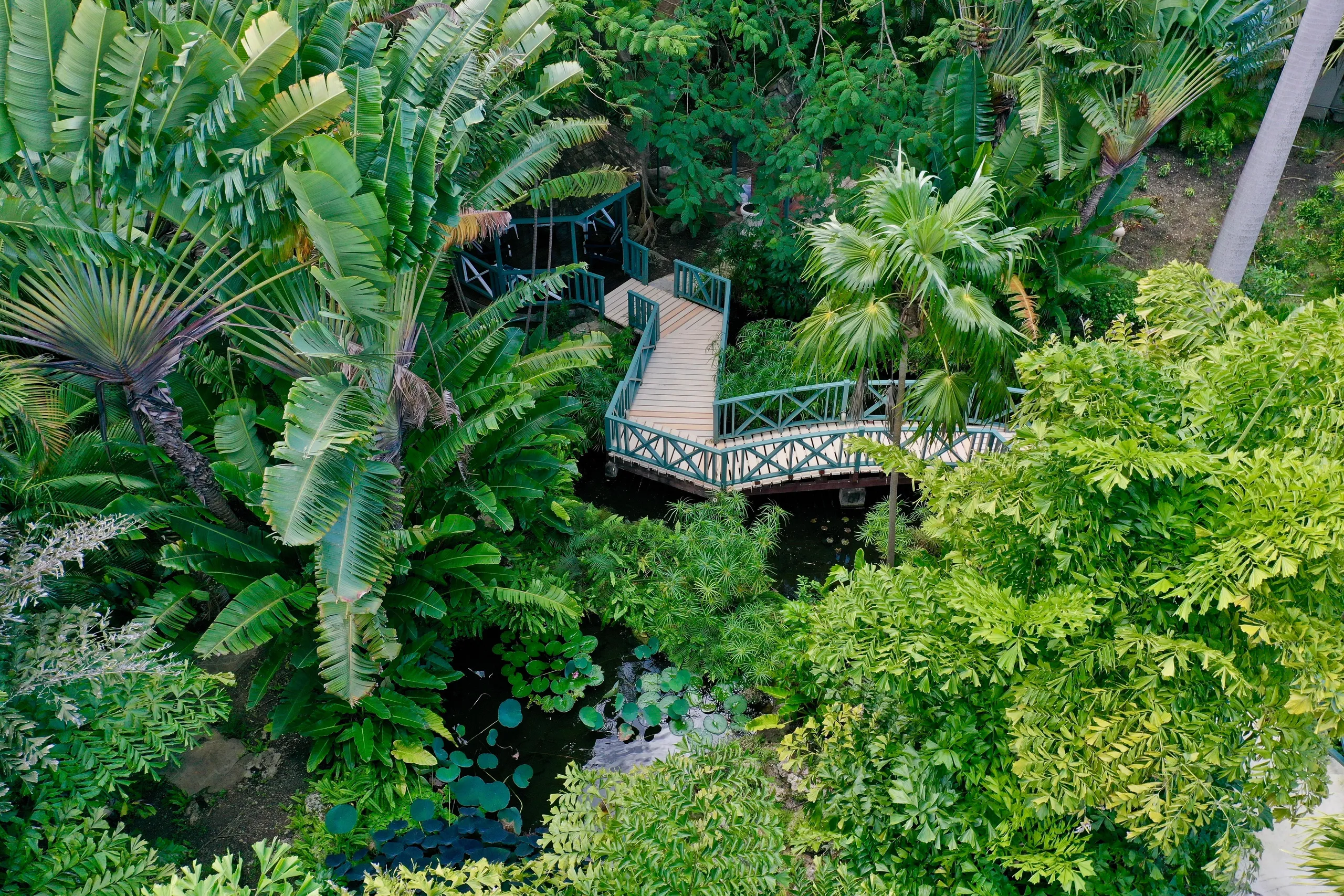 Sandy Lane's Elite Sanctuary Villa with Beach Club and Golf Course Access — photograph 11