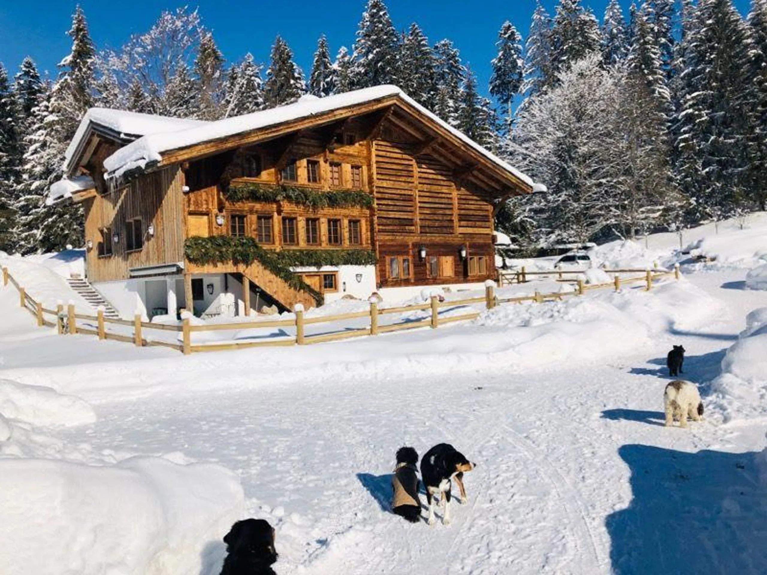 Sumptuously Furnished Saanen Farmhouse with Fireplace and Jacuzzi Tub — photograph 9