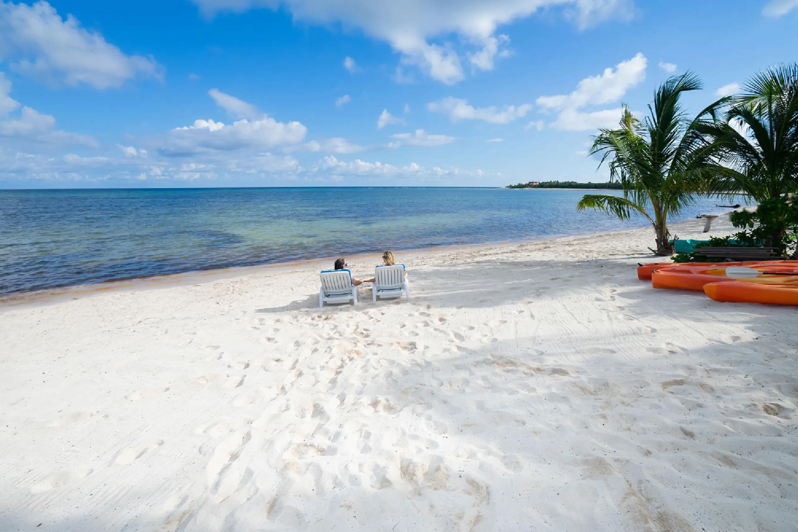 Exquisite Lush Tropical Soliman Bay Oceanfront Estate with Private Beach and Grand Pool — photograph 4