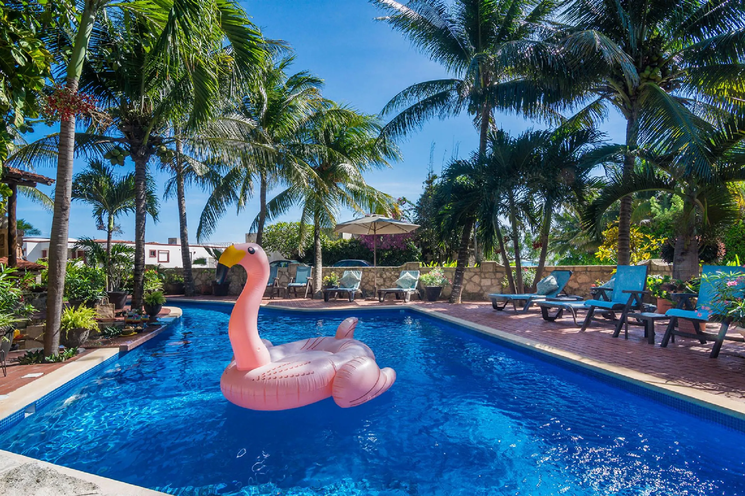 Playa del Carmen Architectural Estate with Private Pool, Ocean Views and Lush Gardens — photograph 6
