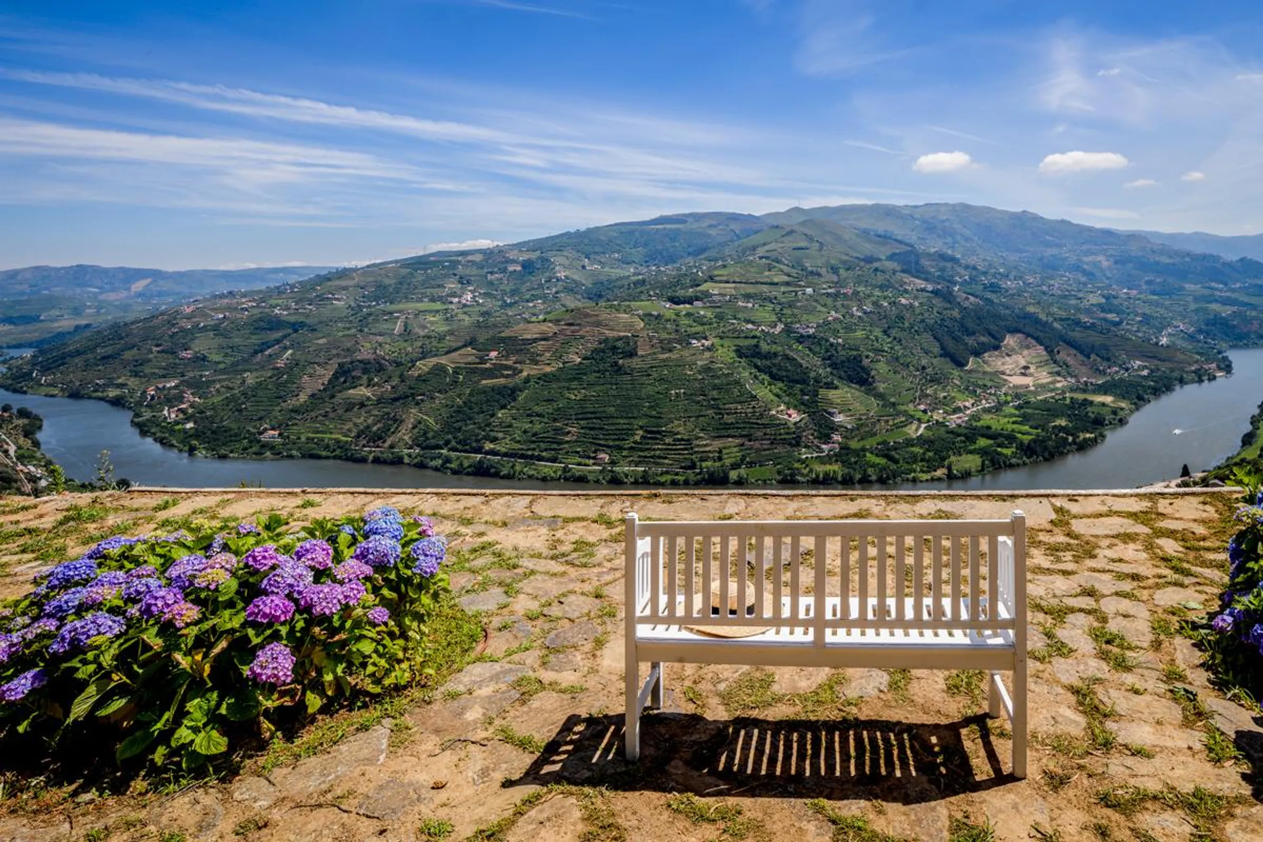 Majestic 17th-Century Villa with Private Pool Overlooking the Douro River and Vineyards — photograph 4