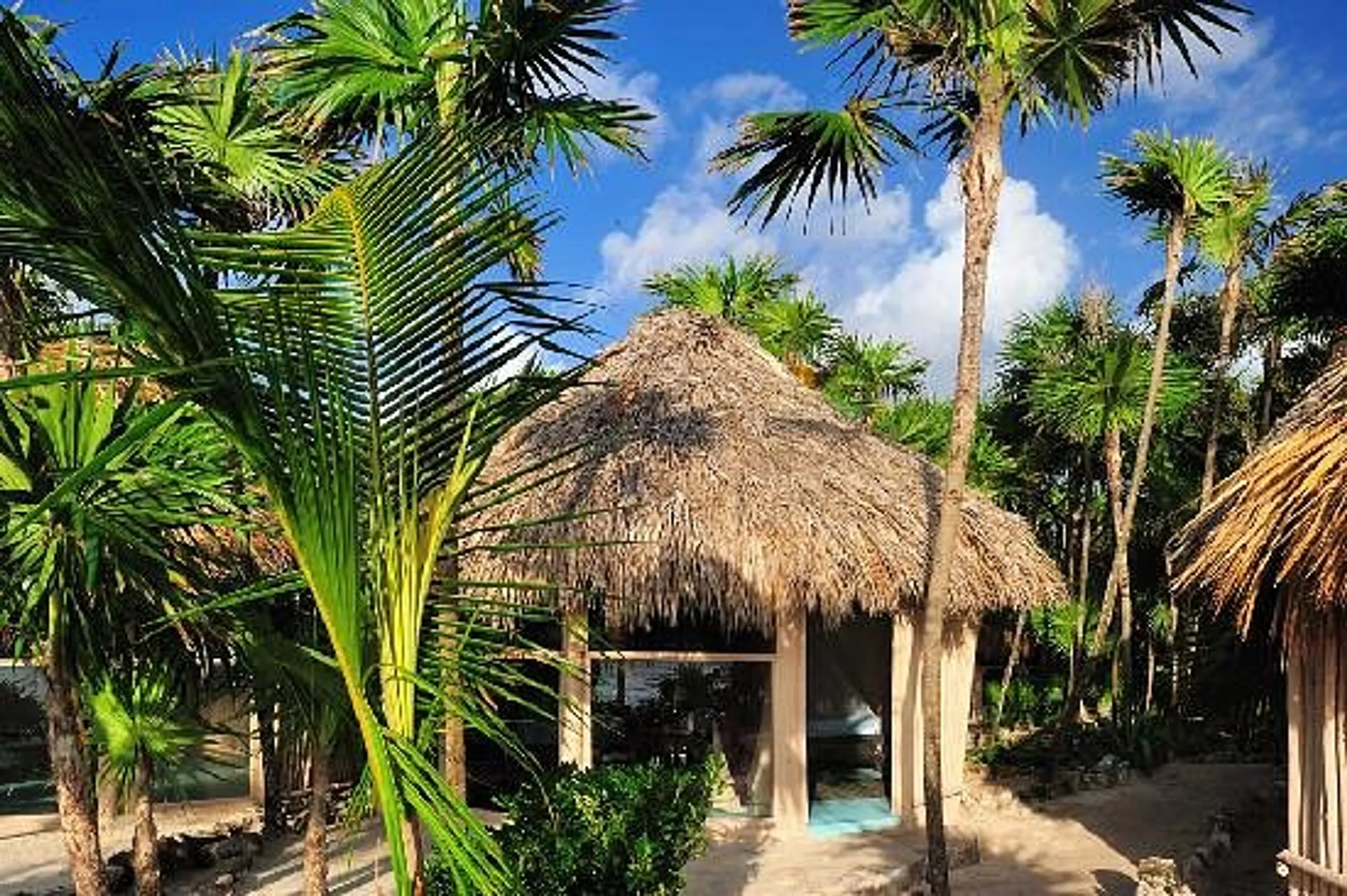 Resplendent Seaview Villa with Walks to Beach — photograph 11
