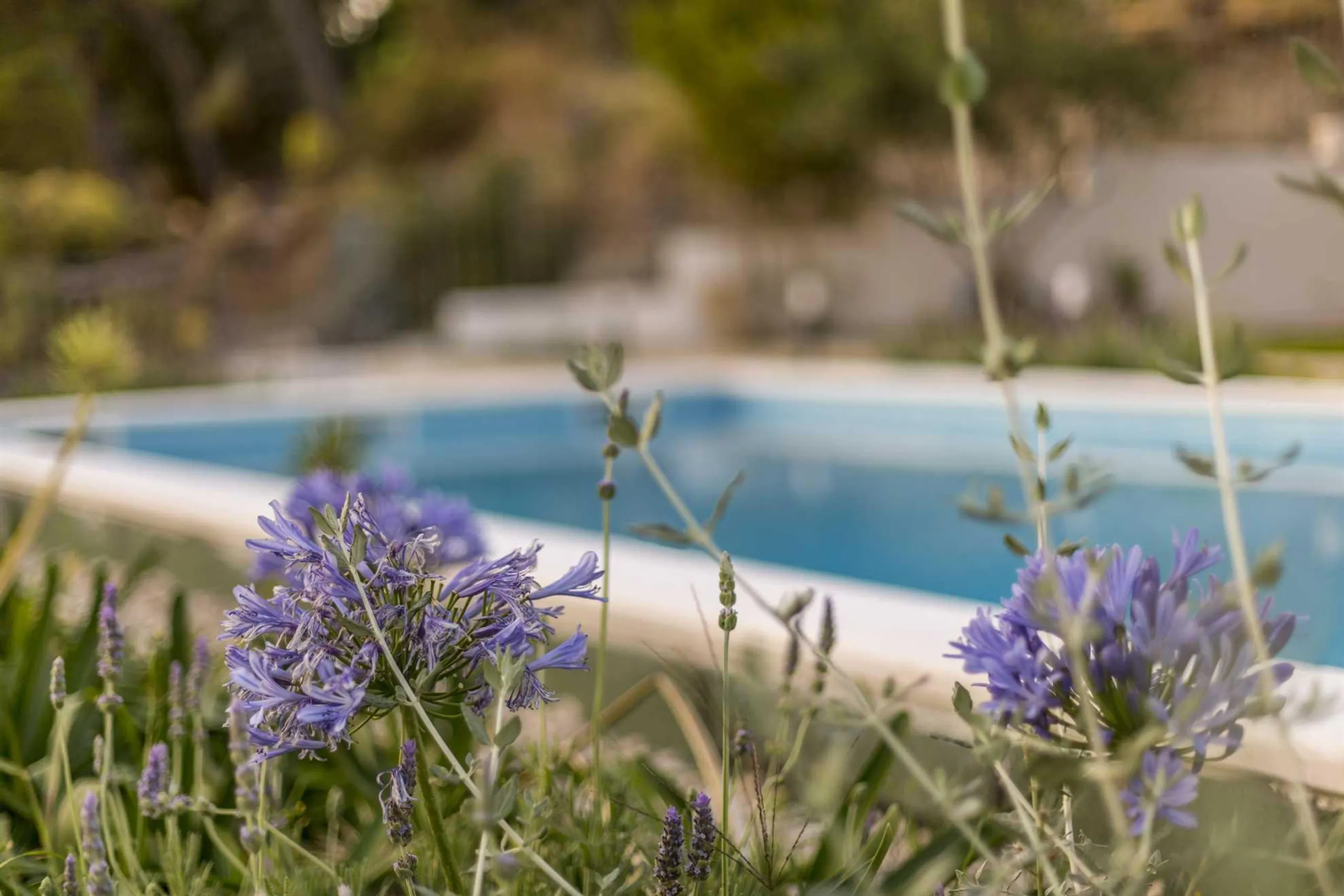 Exquisite Podcelina Villa Haven with Heated Pool, Stunning Views — photograph 4