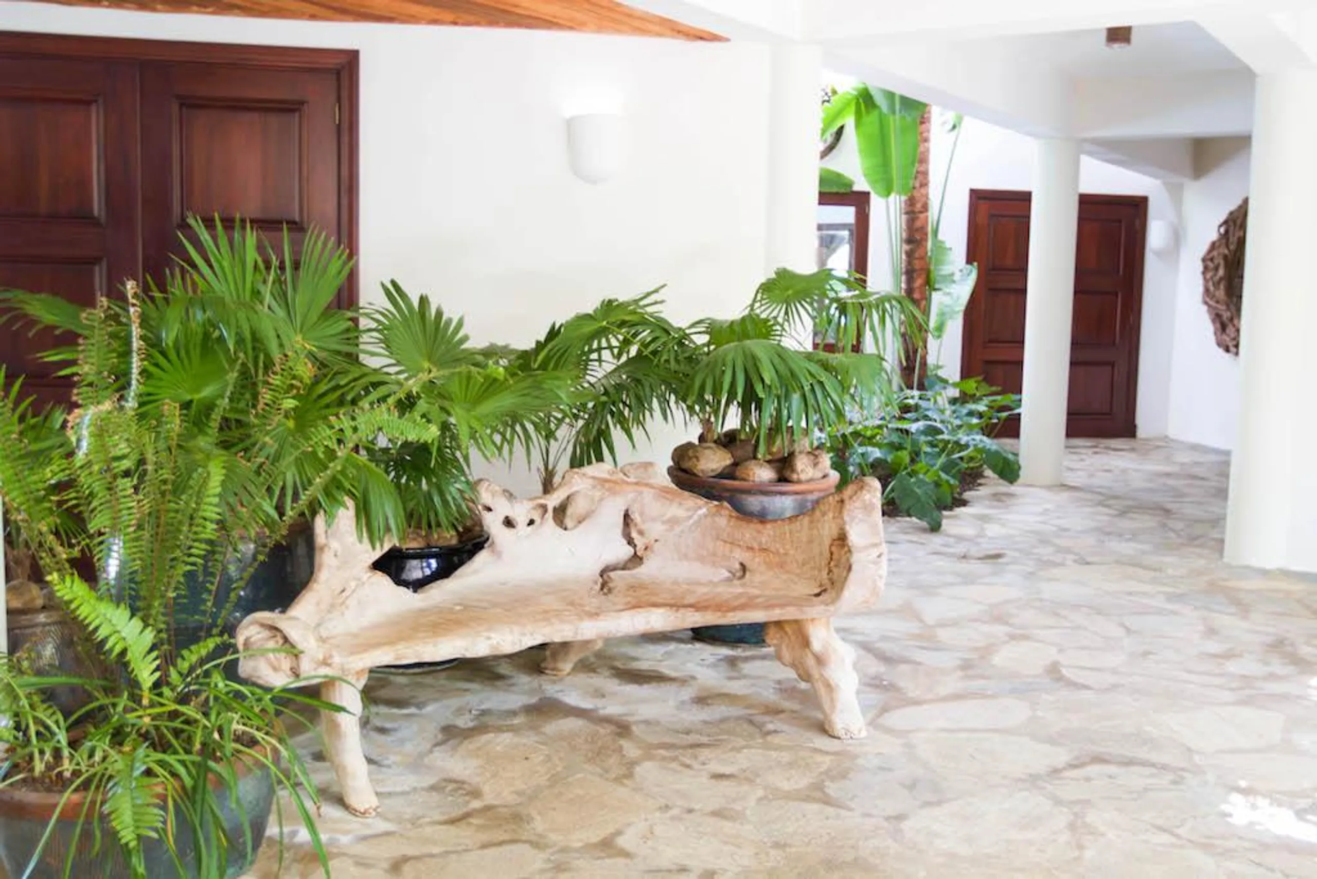 Magnificent Punta Cana Reteat with Private Pool and Jacuzzi — photograph 9