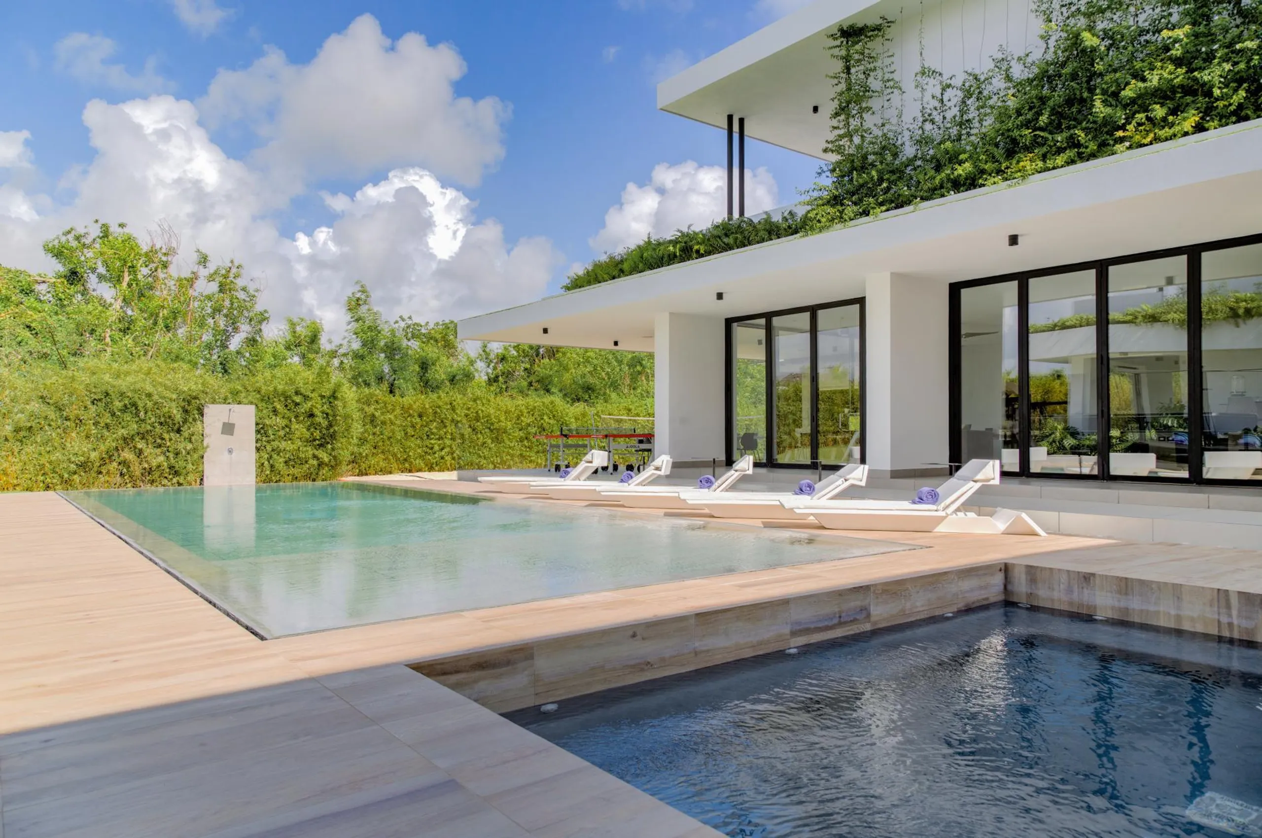 Minimalist Modern Villa with Private Pool and Luxurious Comfort — photograph 2
