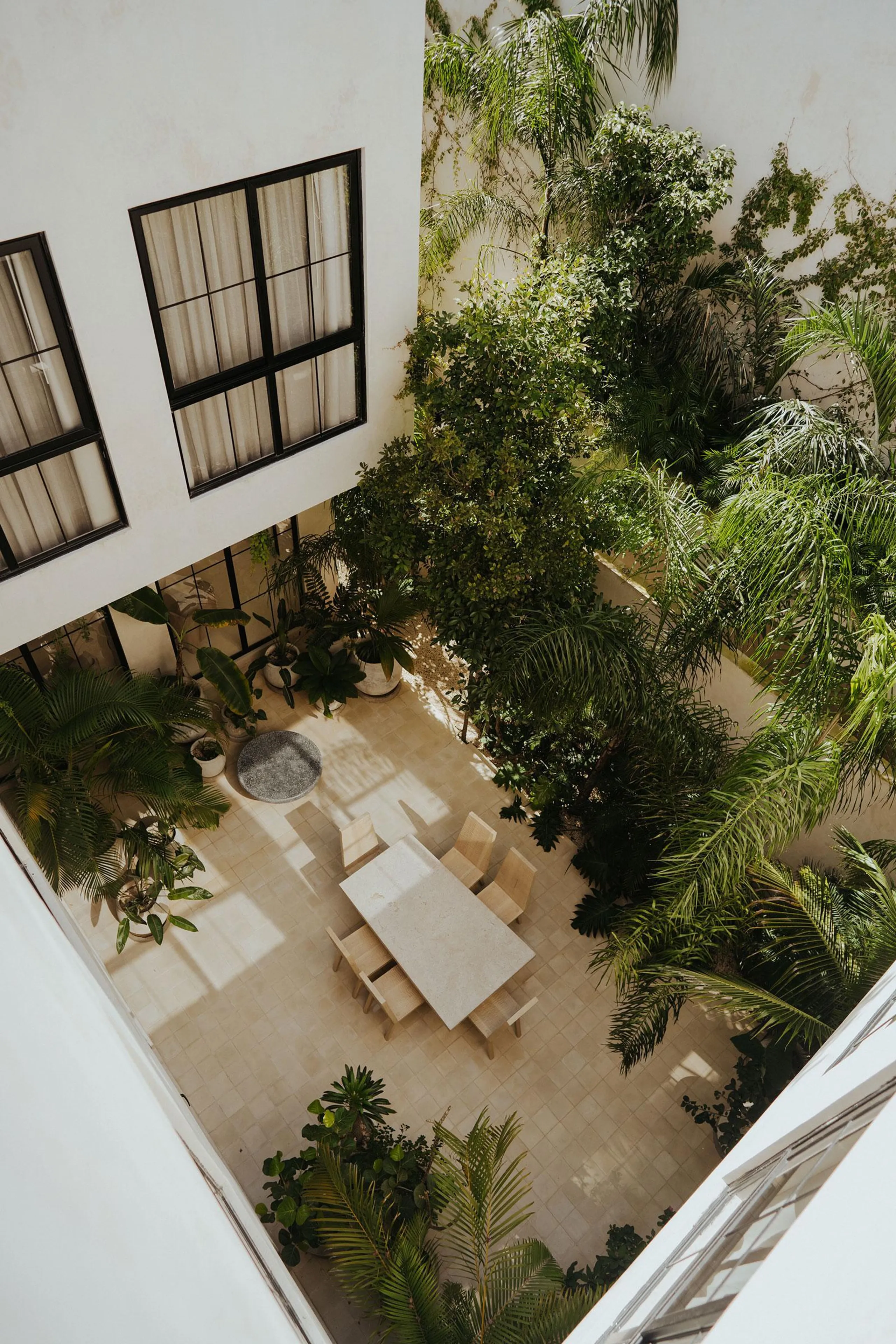Lush and Tropical Tulum Eco-Luxe Villa with Rooftop Pool and Views — photograph 4
