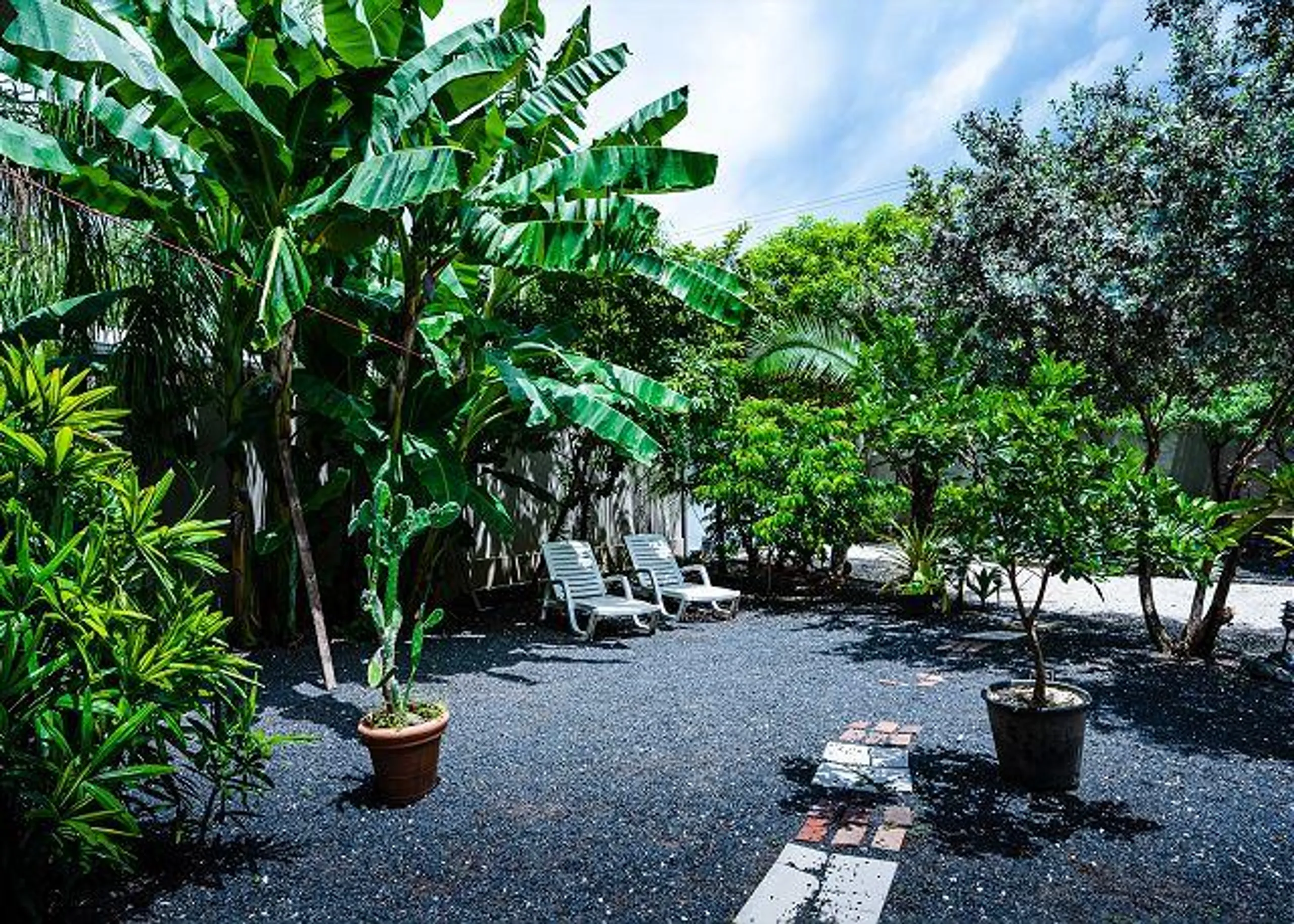 Tropical Luxury Villa with Private Pool, Beach Access and Lush Grounds — photograph 9