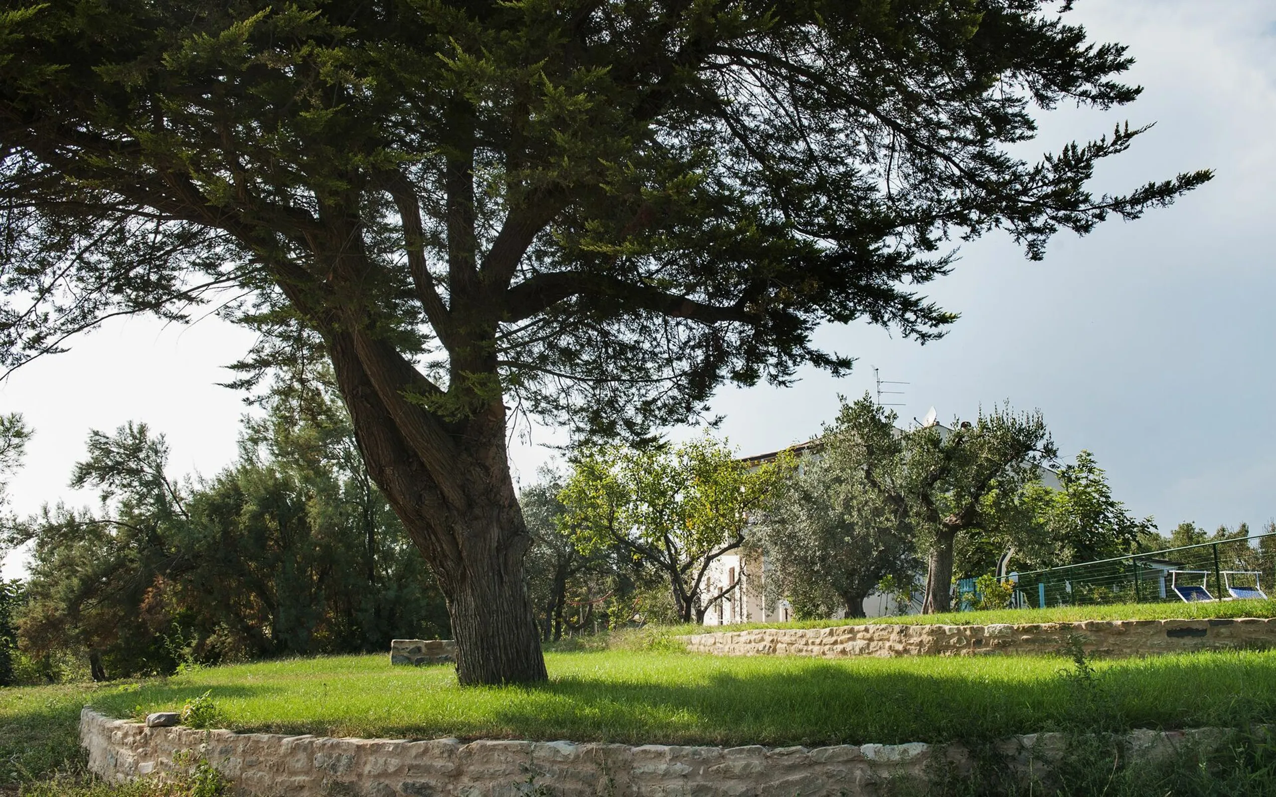Marvelous Hilltop Villa with Great Views to the Adriatic Sea and Mountains — photograph 6