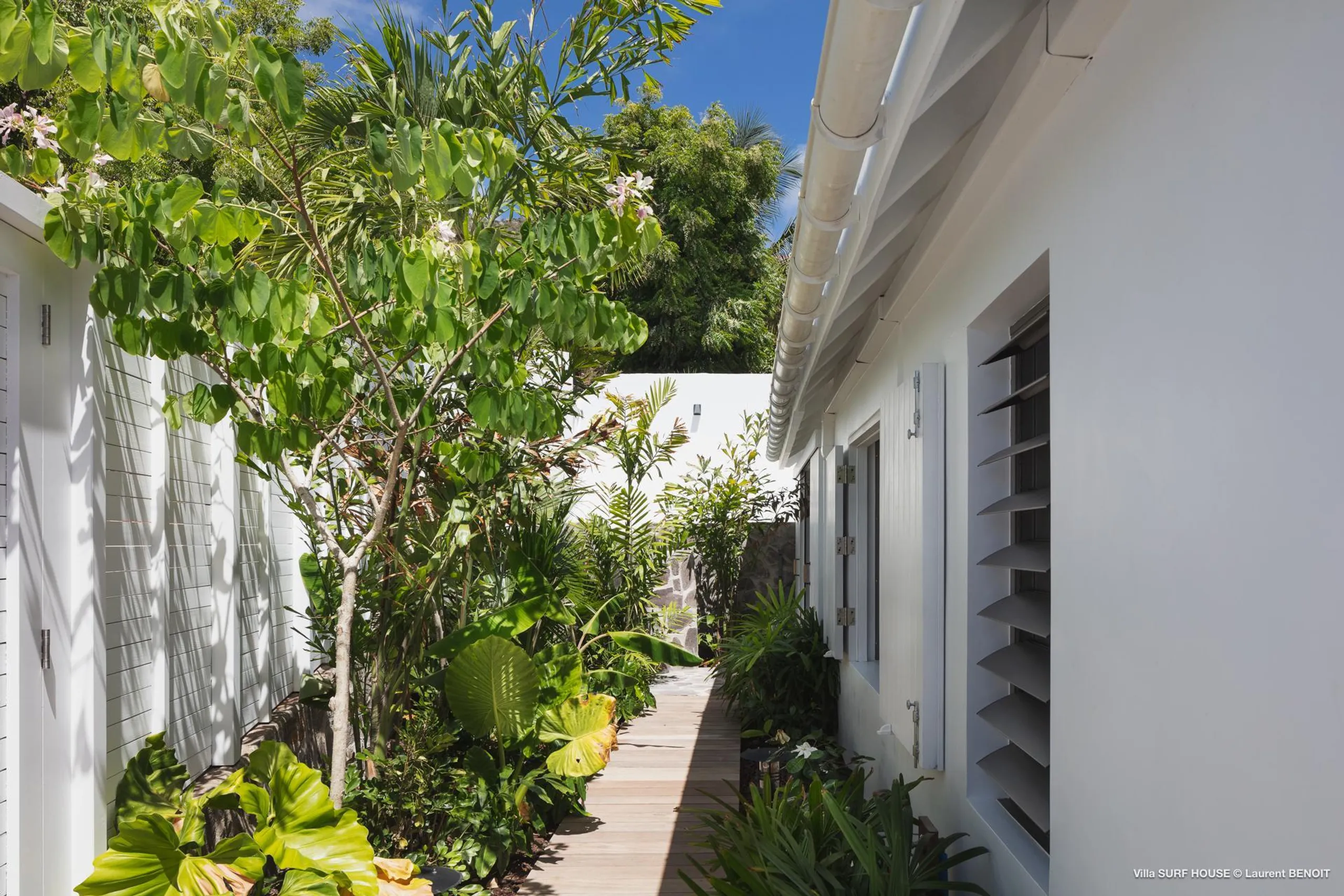 Lush and Luxurious Oceanside Villa in Toiny with Infinity Pool and Ocean Views — photograph 9