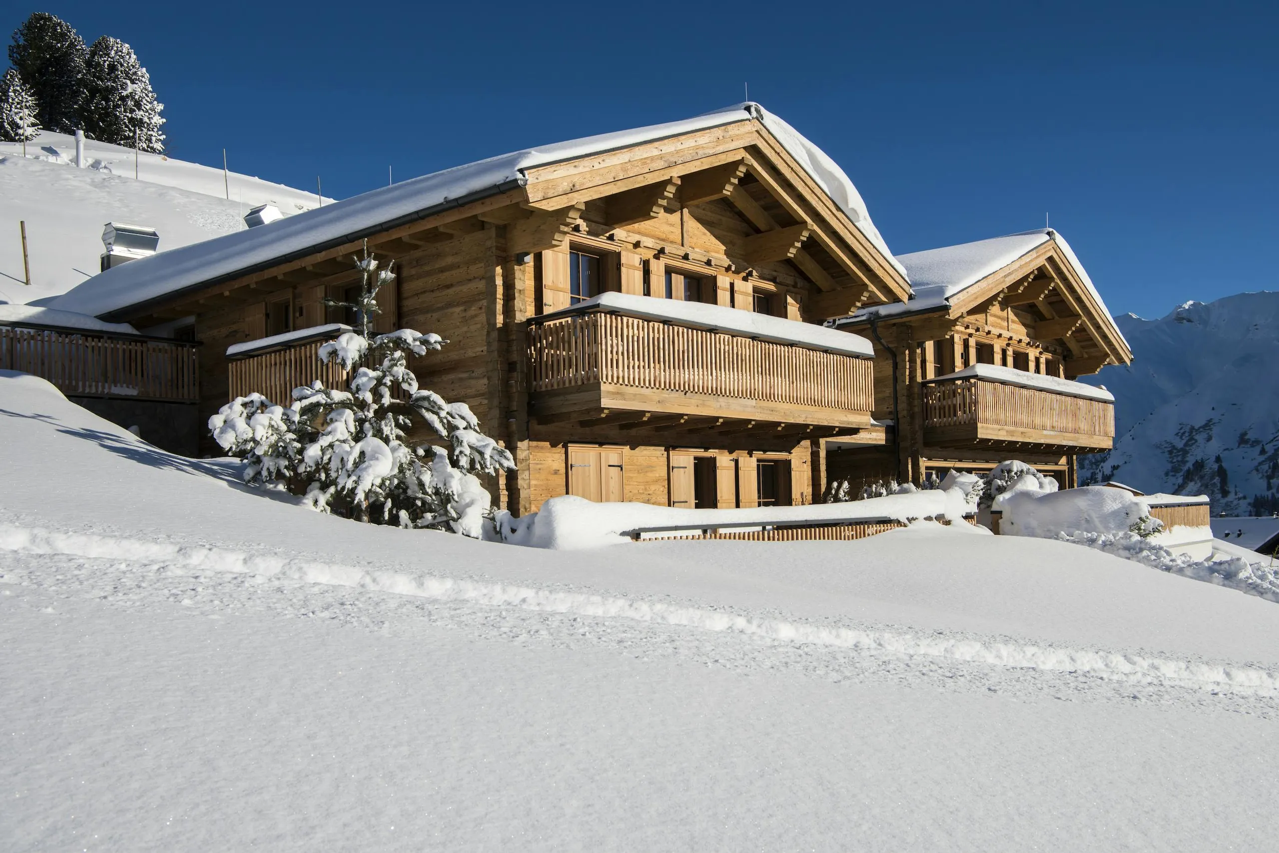 Mountainside Alps Chalet with Upscale Amenities and Incredible Views, Lech