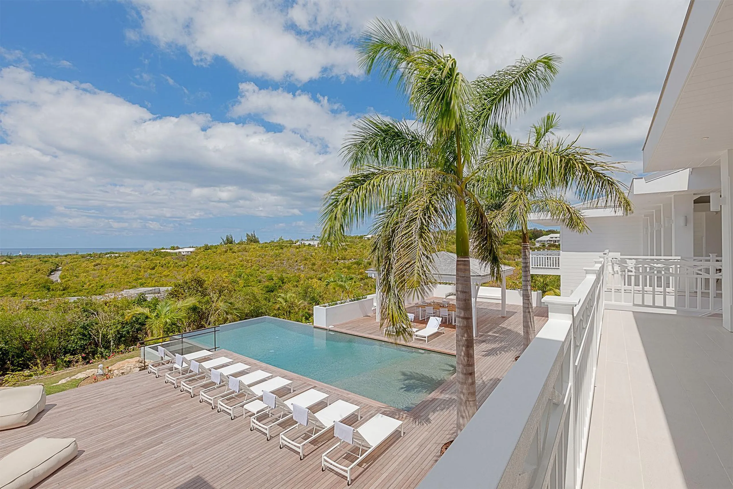 Elegant Twin Palm Villa with Private Pool and Infinity Views — photograph 5