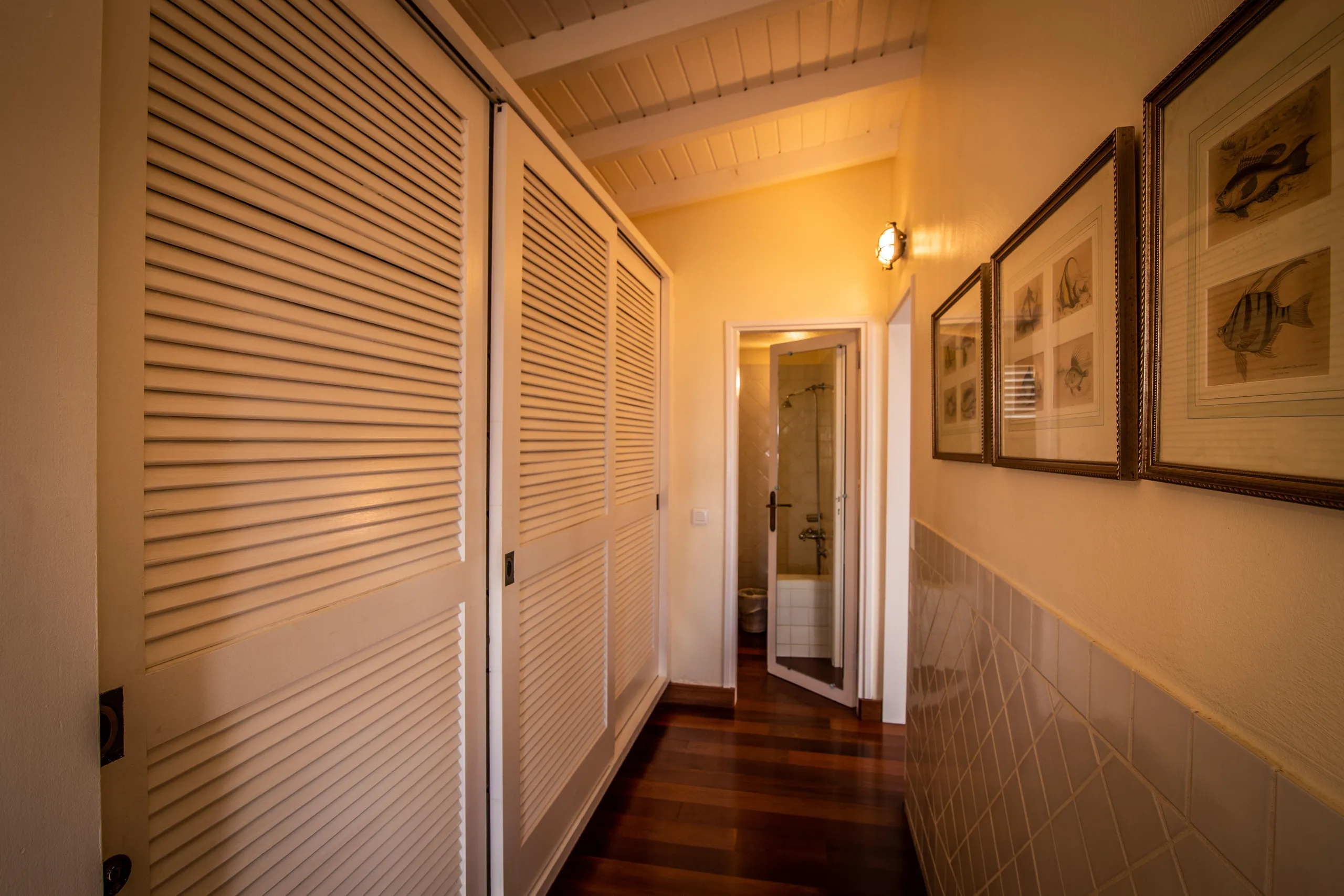 Noble Tropical Villa with Infinity Pool and Walks to Beach — photograph 11