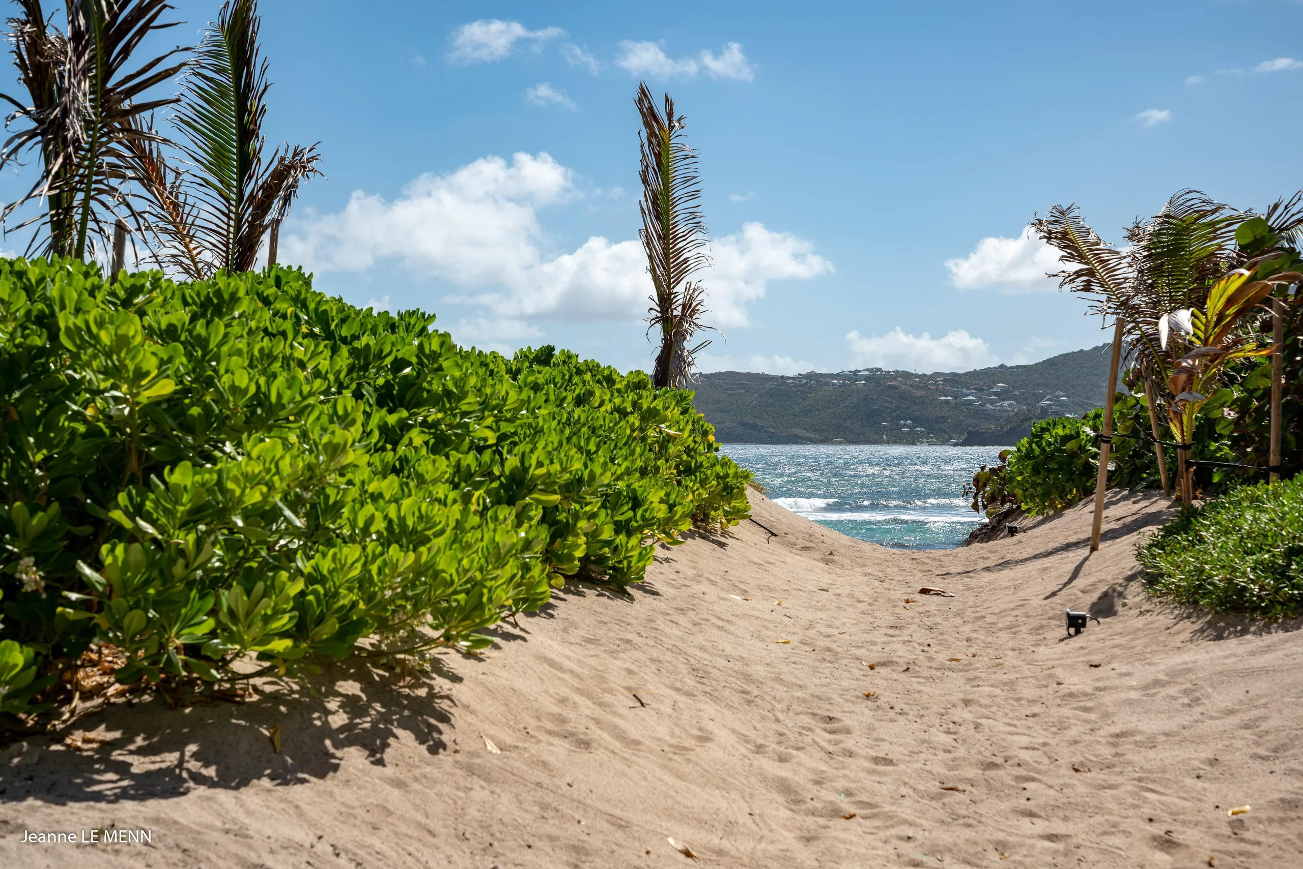 Beachfront Luxury Villa with Private Pool and Ocean Views — photograph 3