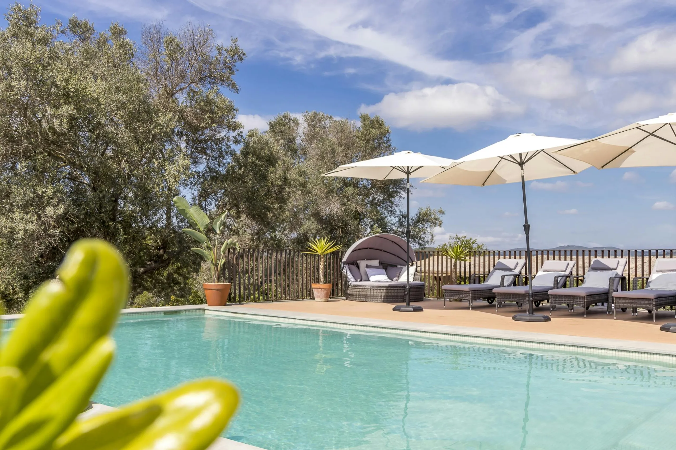 Resplendent Spanish Estate in Ibiza with Private Pool and Garden Grounds — photograph 5