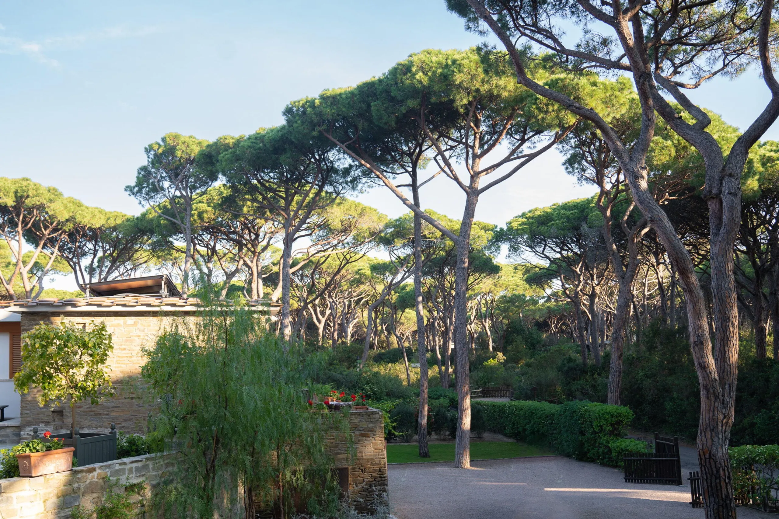 Gleaming Roccamore Estate with Private Pool and Lush Gardens — photograph 10