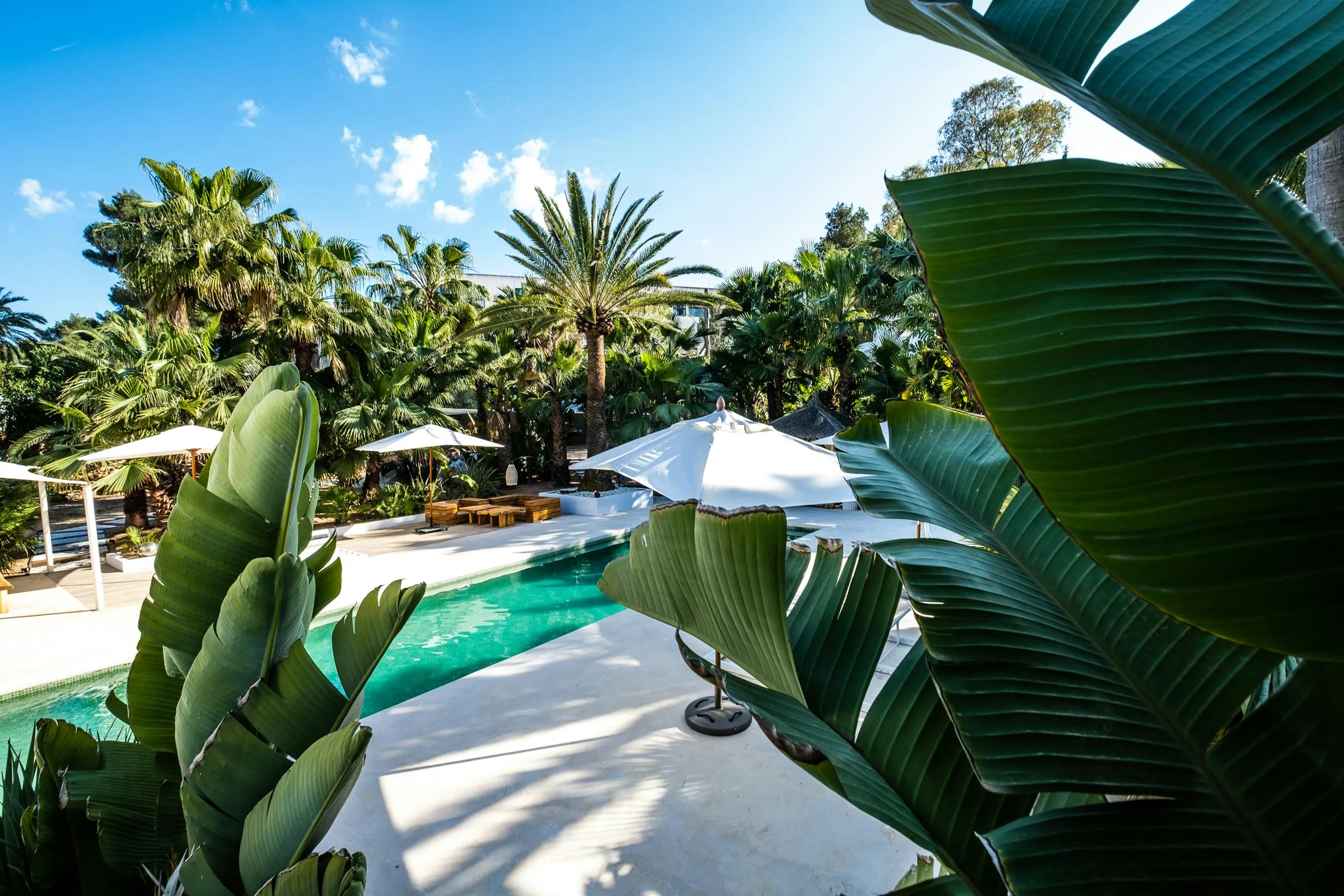 Splendid Spanish Villa in Ibiza with Private Pool and Firepit — photograph 3