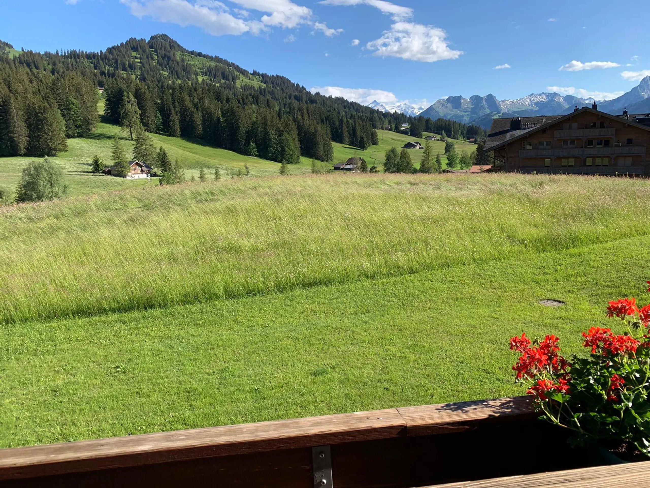 Deluxe Luxury Chalet in Saanen with Stunning Views — photograph 3