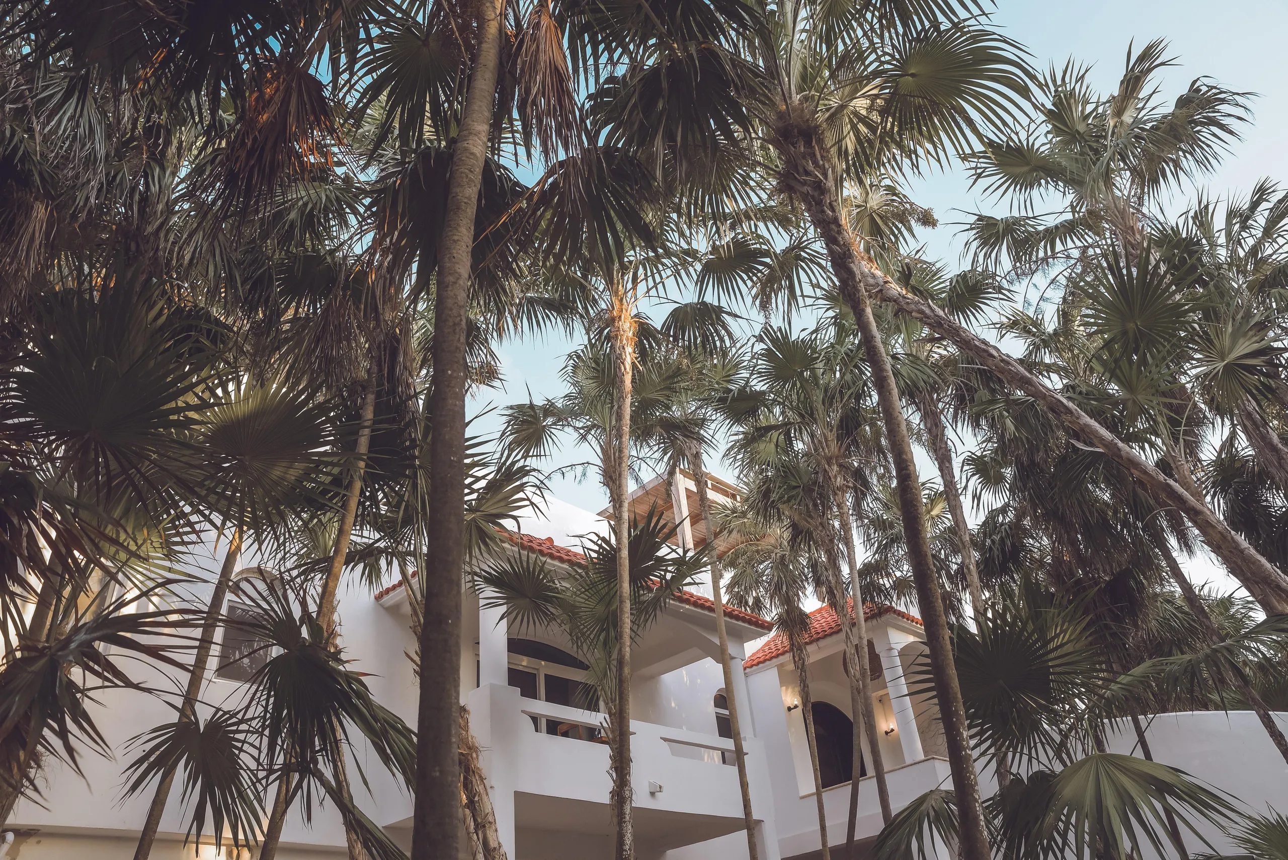 Paradise Villa on Riviera Maya's Untamed Shore with Rooftop Pool and Ocean Views, Tulum